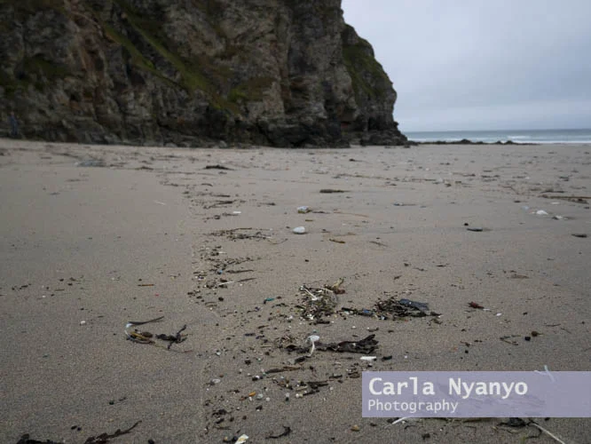 cornwall_2018-11.jpg