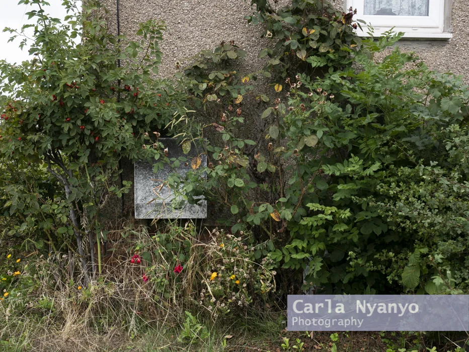 house_number_42-2.jpg