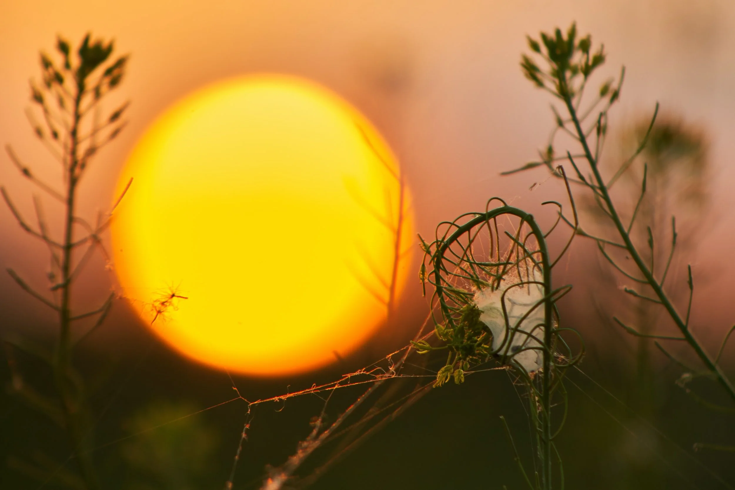 unsplash-image-IqfPyBrNjWA.jpg