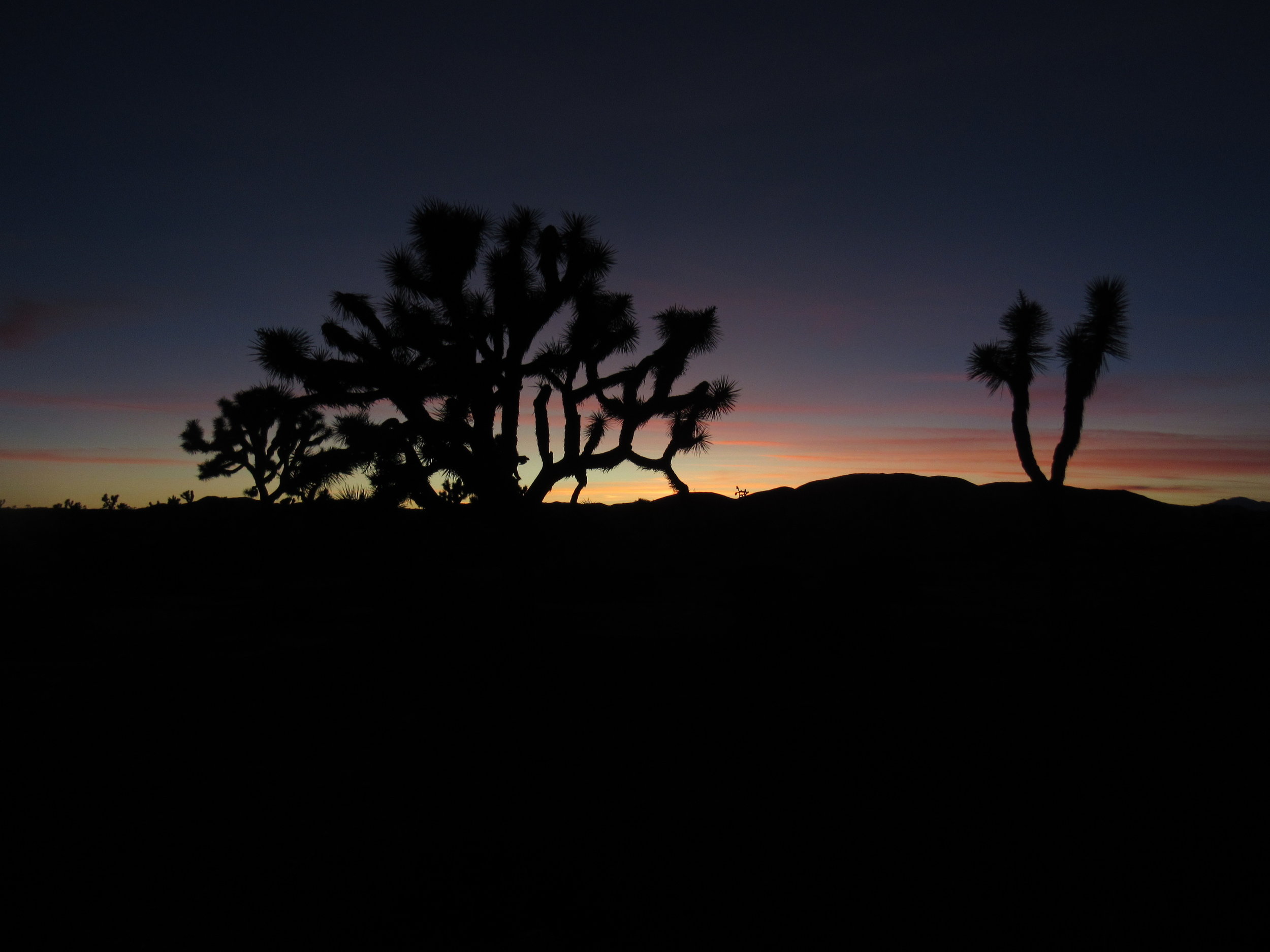 Desert Sunset