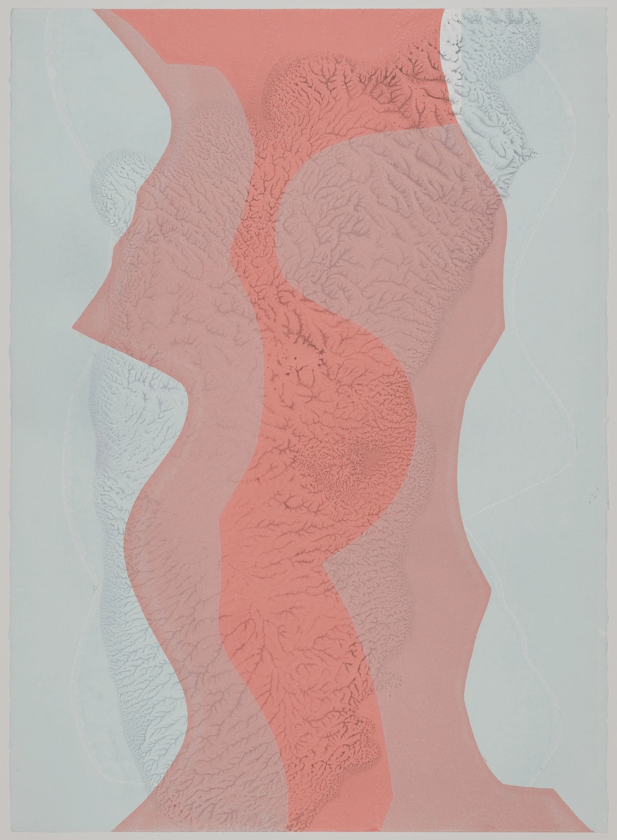 Untitled (VII) , 2012 Monotype Image & Paper: 29 x 21 inches