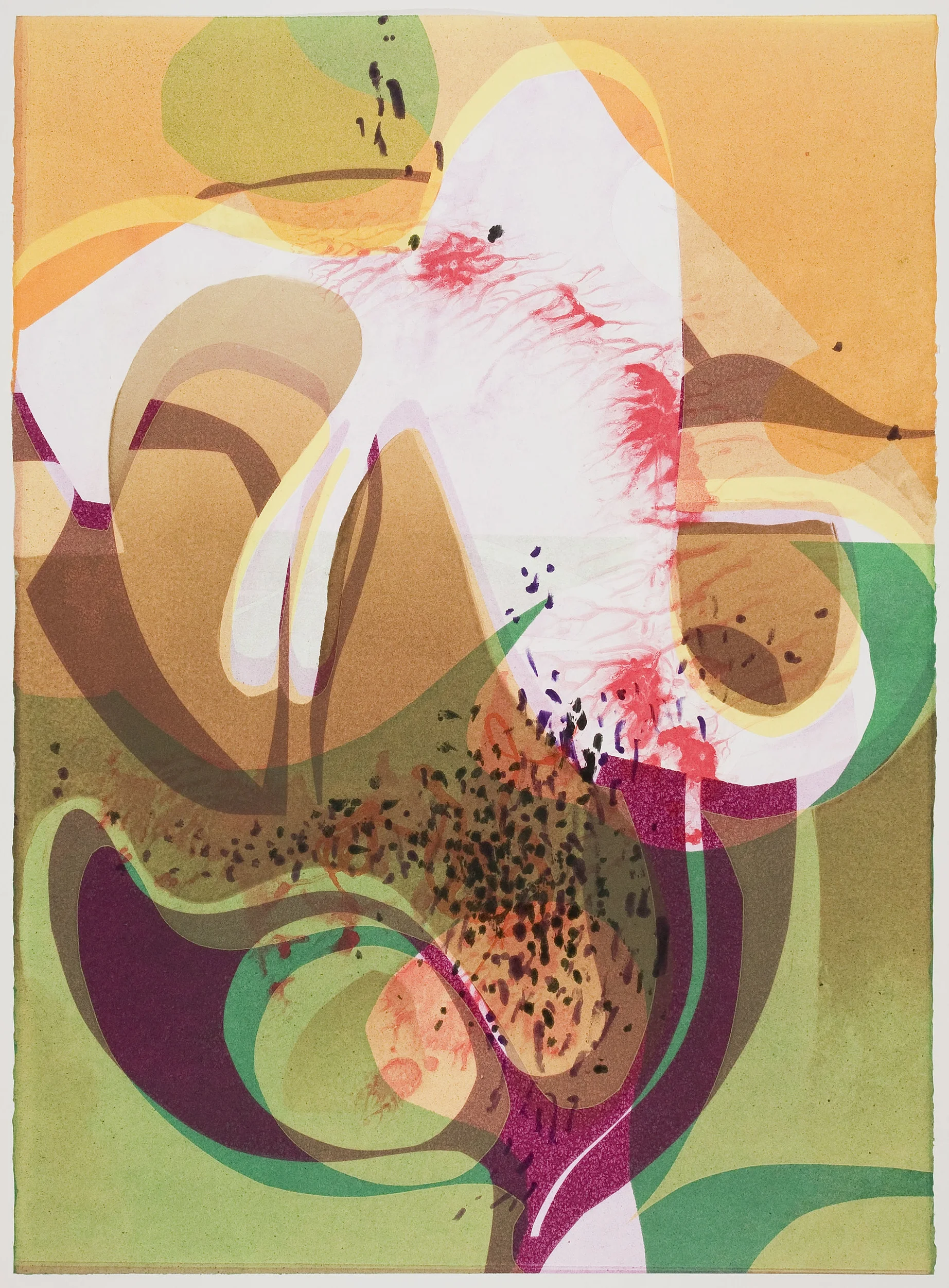 Untitled (XX) , 2012 Monotype Image & Paper: 29 x 21 inches