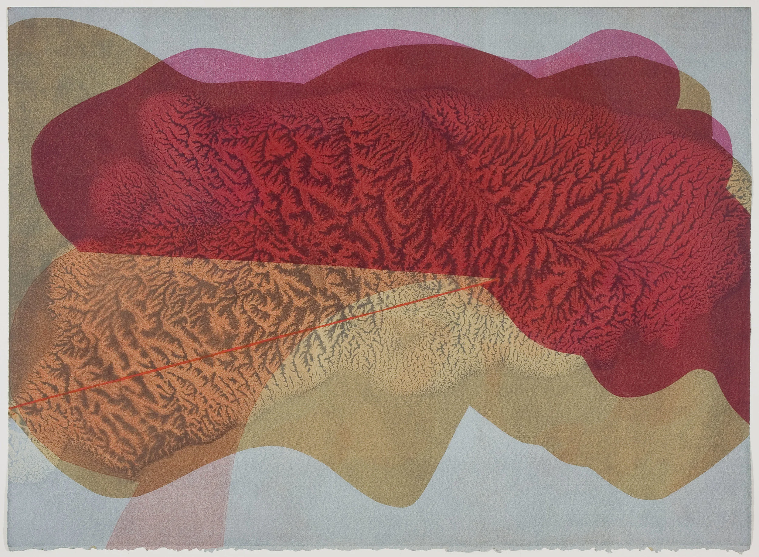   Untitled (I) , 2012 Monotype Image &amp; Paper: 29 x 21 inches Series of 25 