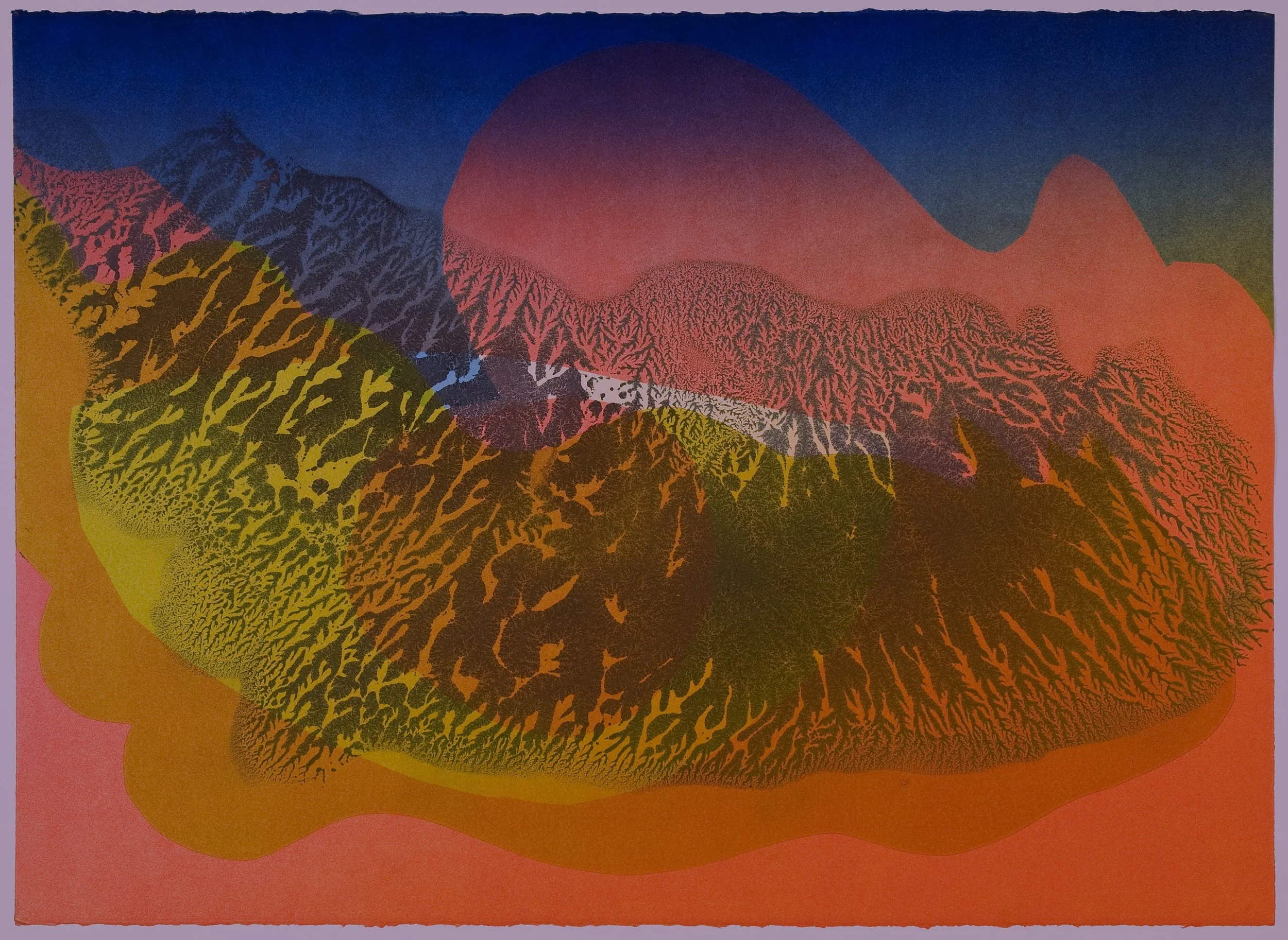   Untitled (XIII) , 2012 Monotype Image &amp; Paper: 29 x 21 inches Series of 25 