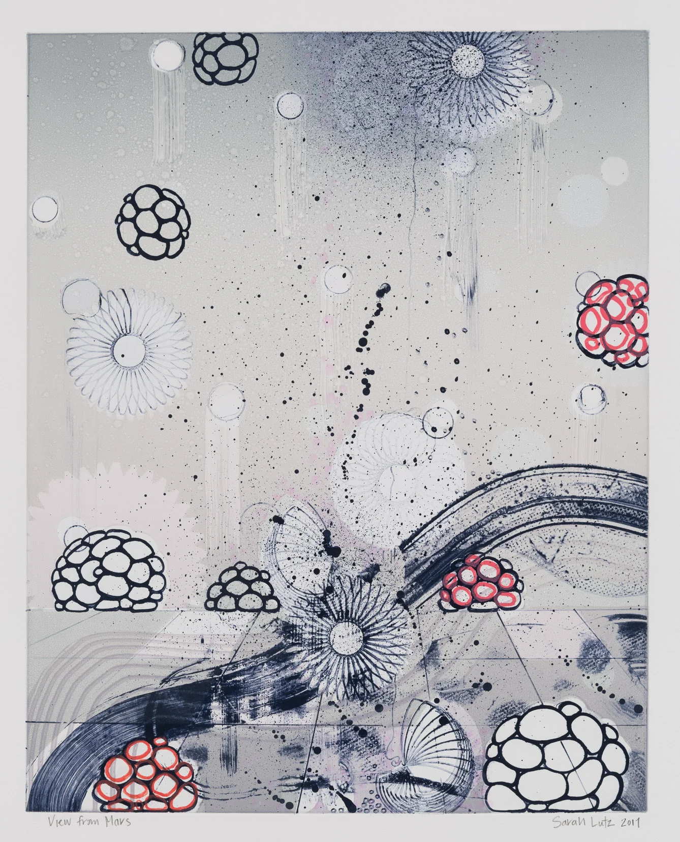 View from Marz (X) , 2017 Monoprint Image Size: 20 x 16 inches Paper Size: 30 x 22 inches Series of 15