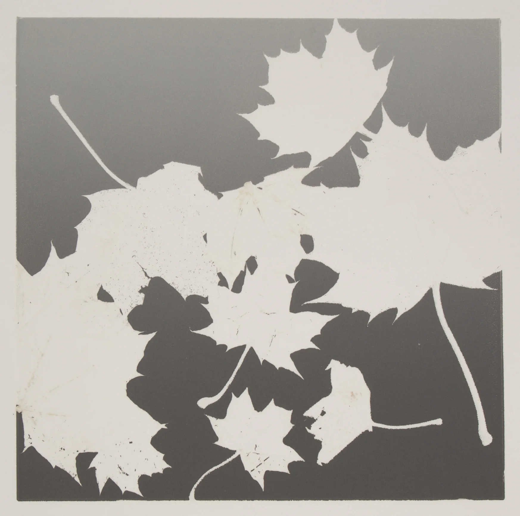Wood VI , 2018 Monotype Image size: 11.75 x 12 inches Paper size: 18.5 x 14.875 inches Series of 8