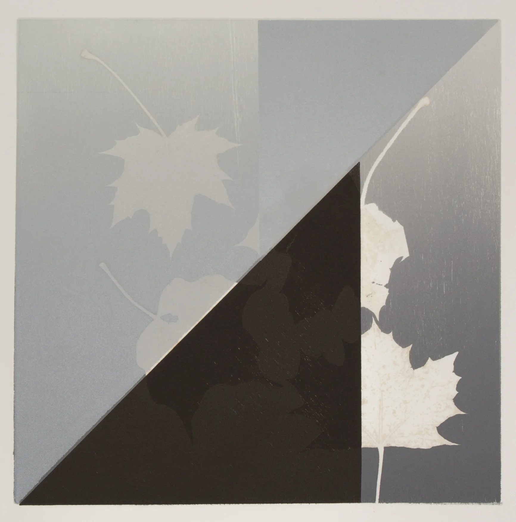 Wood VIII , 2018 Monotype Image size: 11.75 x 12 inches Paper size: 18.5 x 14.875 inches Series of 8