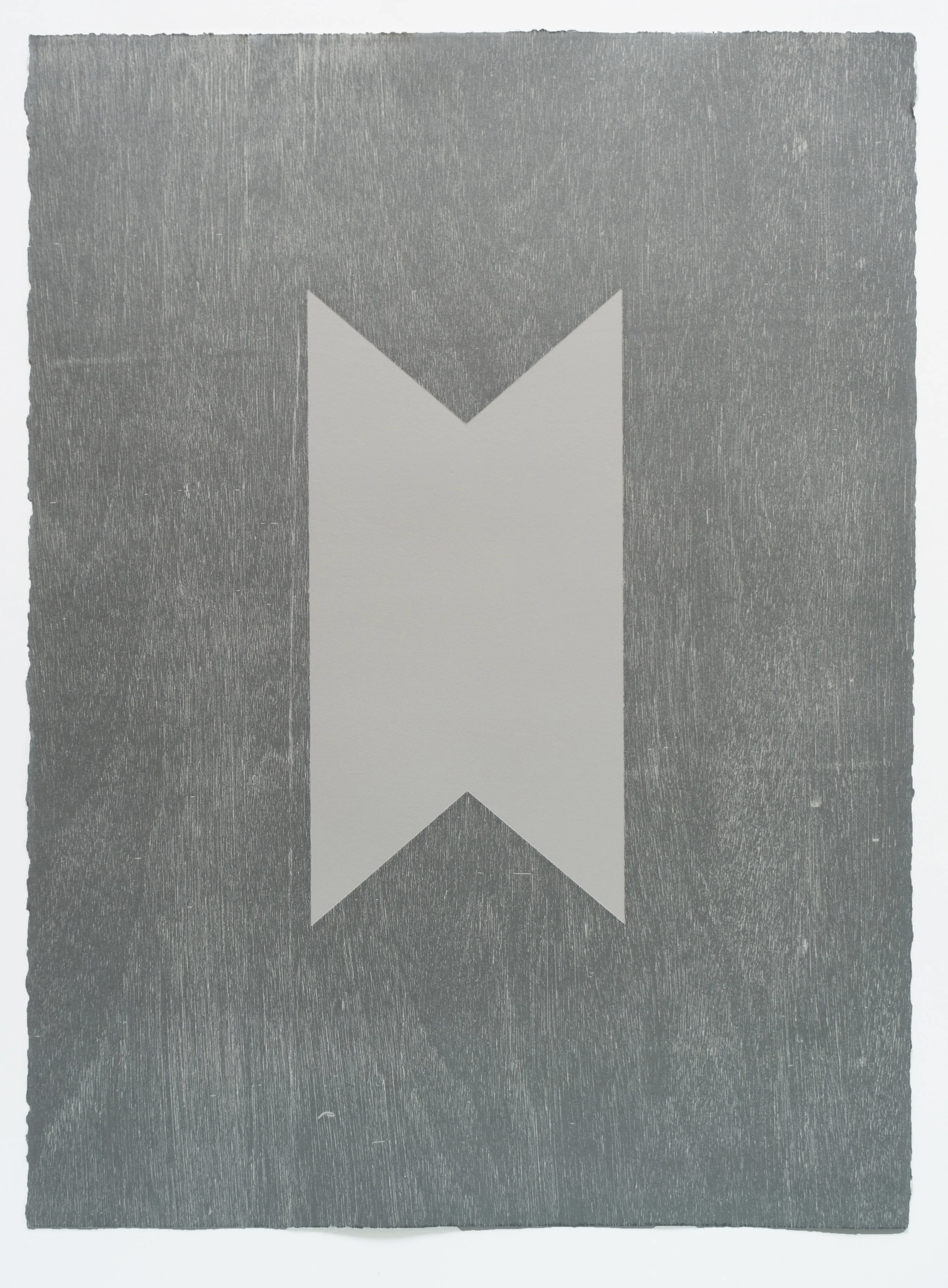 Two Sided (III) , 2017 Monotype Image & paper size: 30 x 22 inches Series of 5