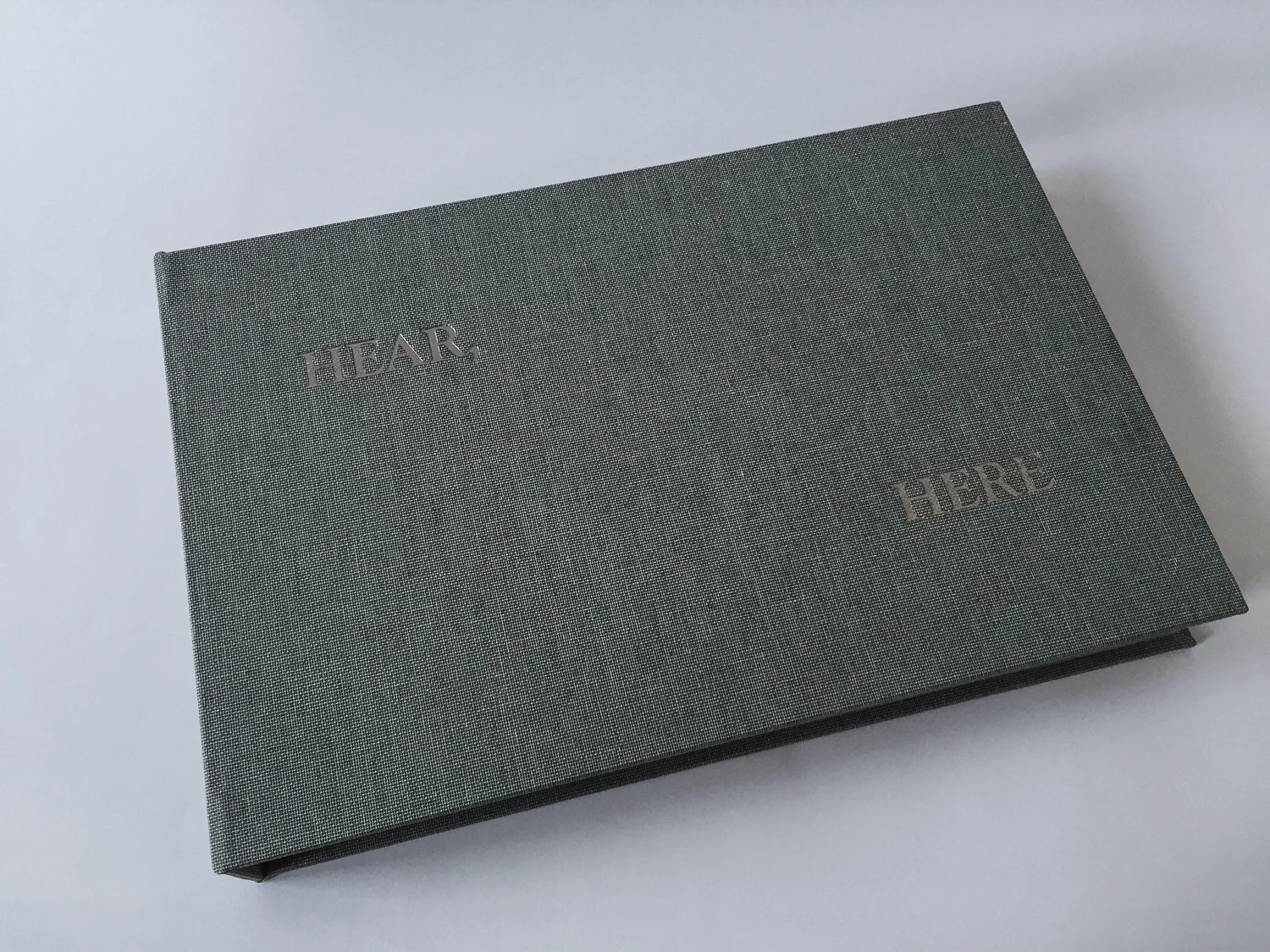 Hear, Here , 2014 Intaglio Image & paper size: 7 x 35.25 inches Edition of 20