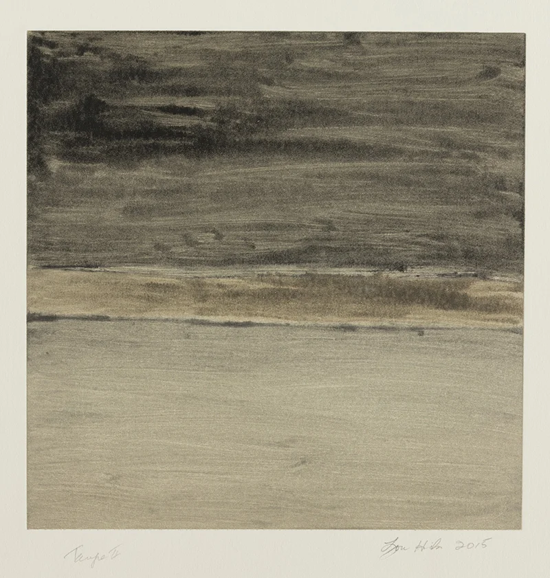   Taupe II , 2015 Monotype Image size: 12 x 12 inches Paper size: 22 x 30 inches Series of 24 