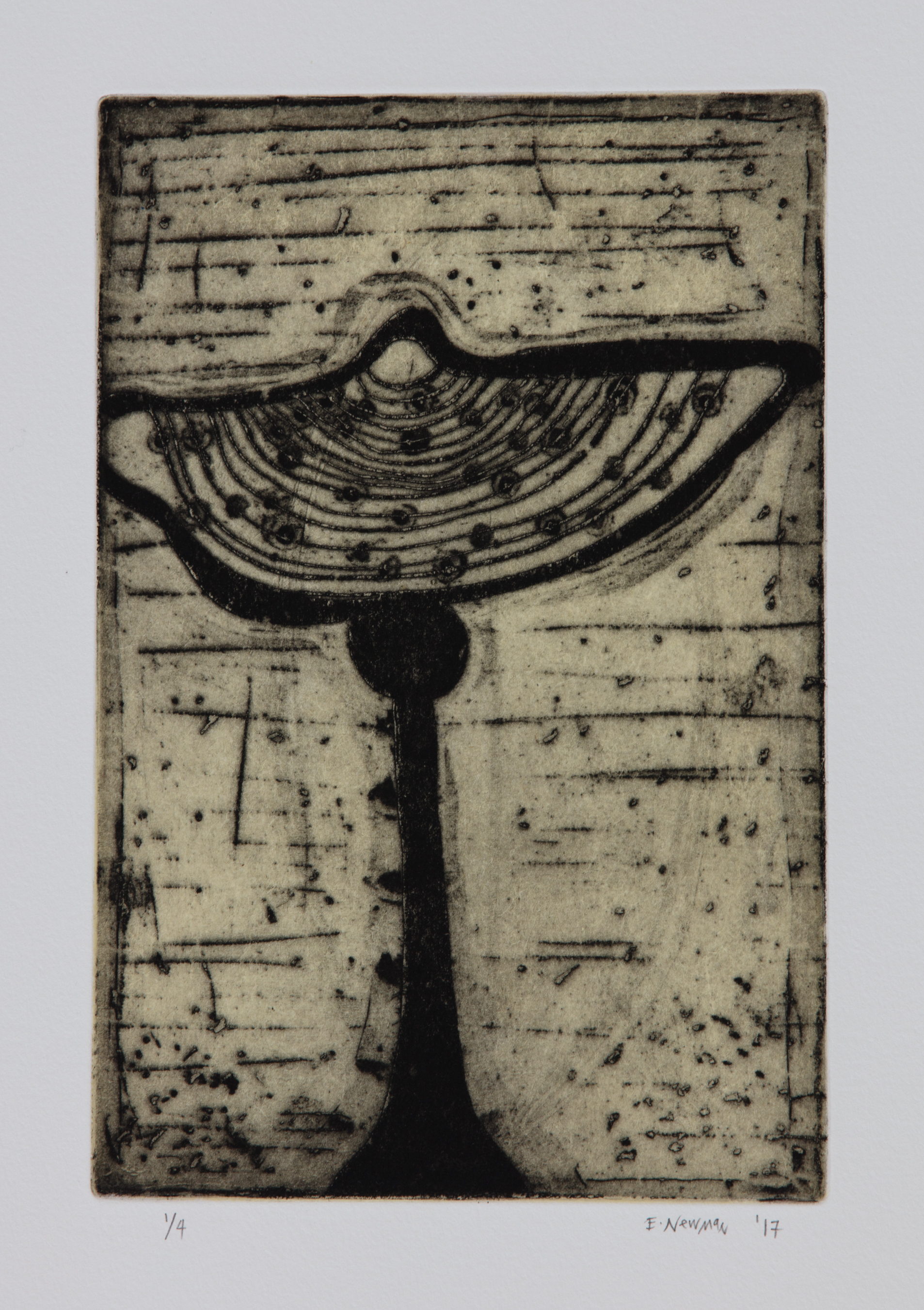   Tap Root I , 2017 Etching Image size: 8.75 x 5.5 inches Paper size: 15 x 11 inches Edition of 4 