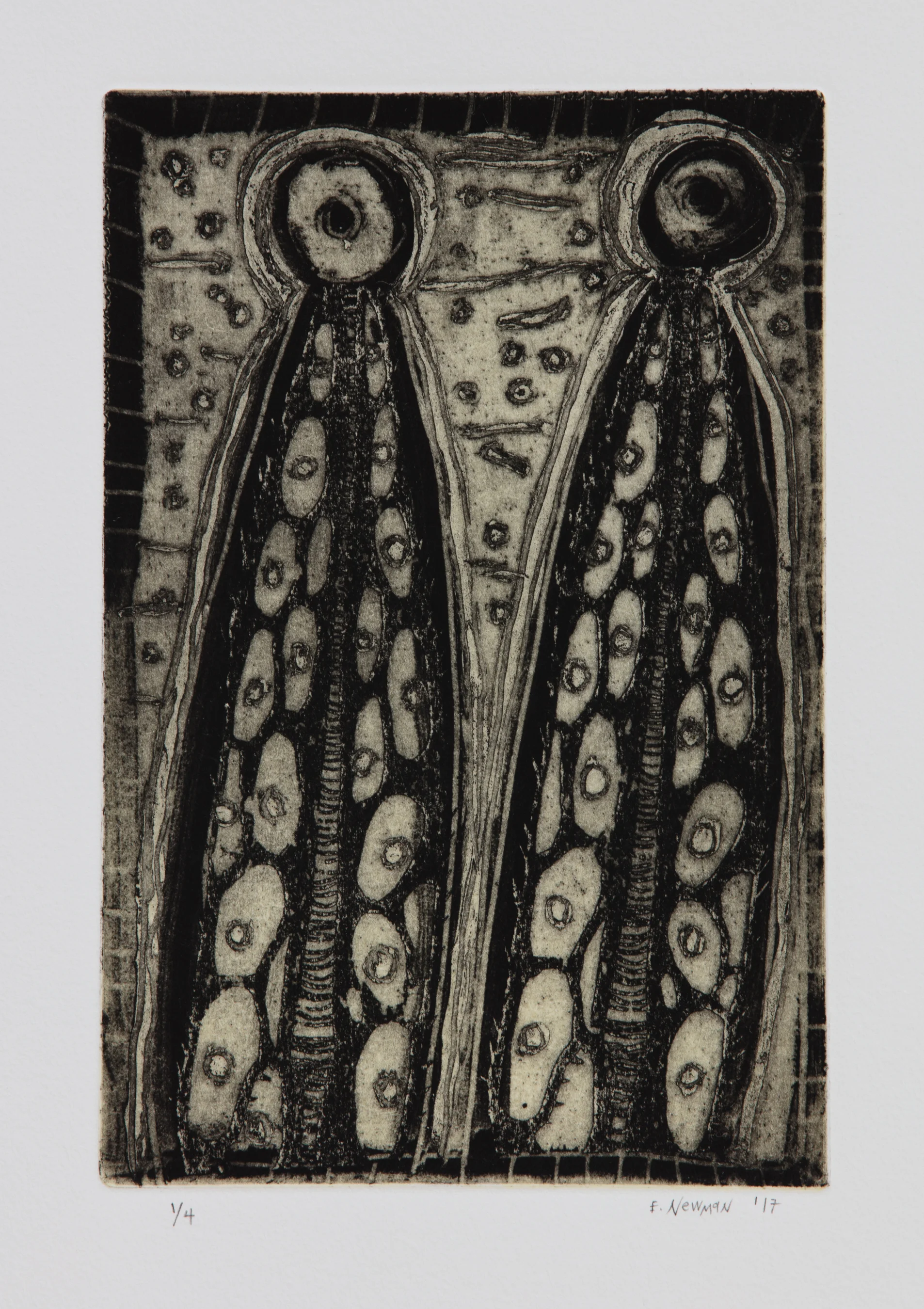   Tap Root III , 2017 Etching Image size: 8.75 x 5.5 inches Paper size: 15 x 11 inches Edition of 15 