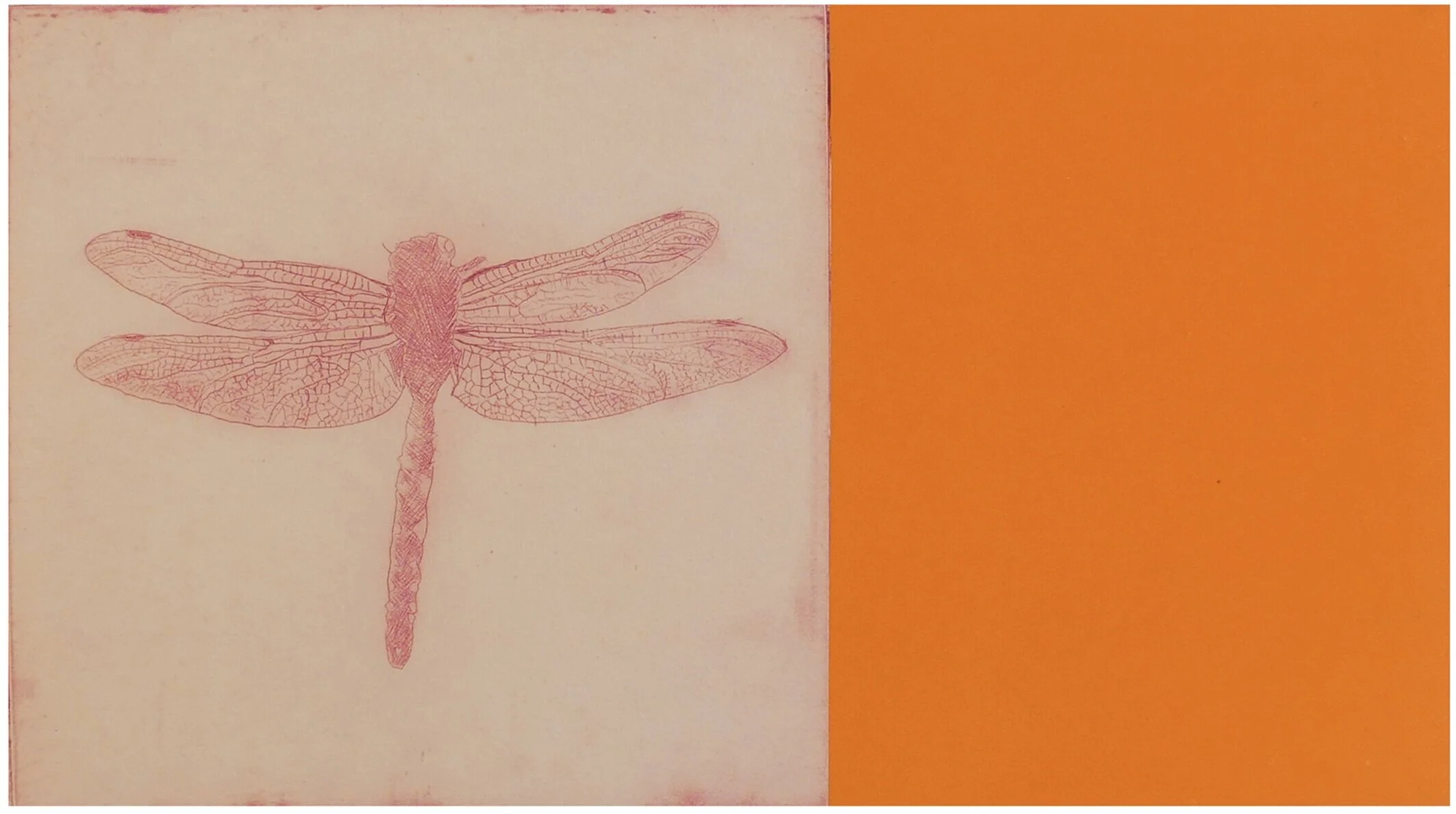   Dragonfly Map VI , 2020 Monotype Image and Paper Size: 16 x 26 inches Unique 