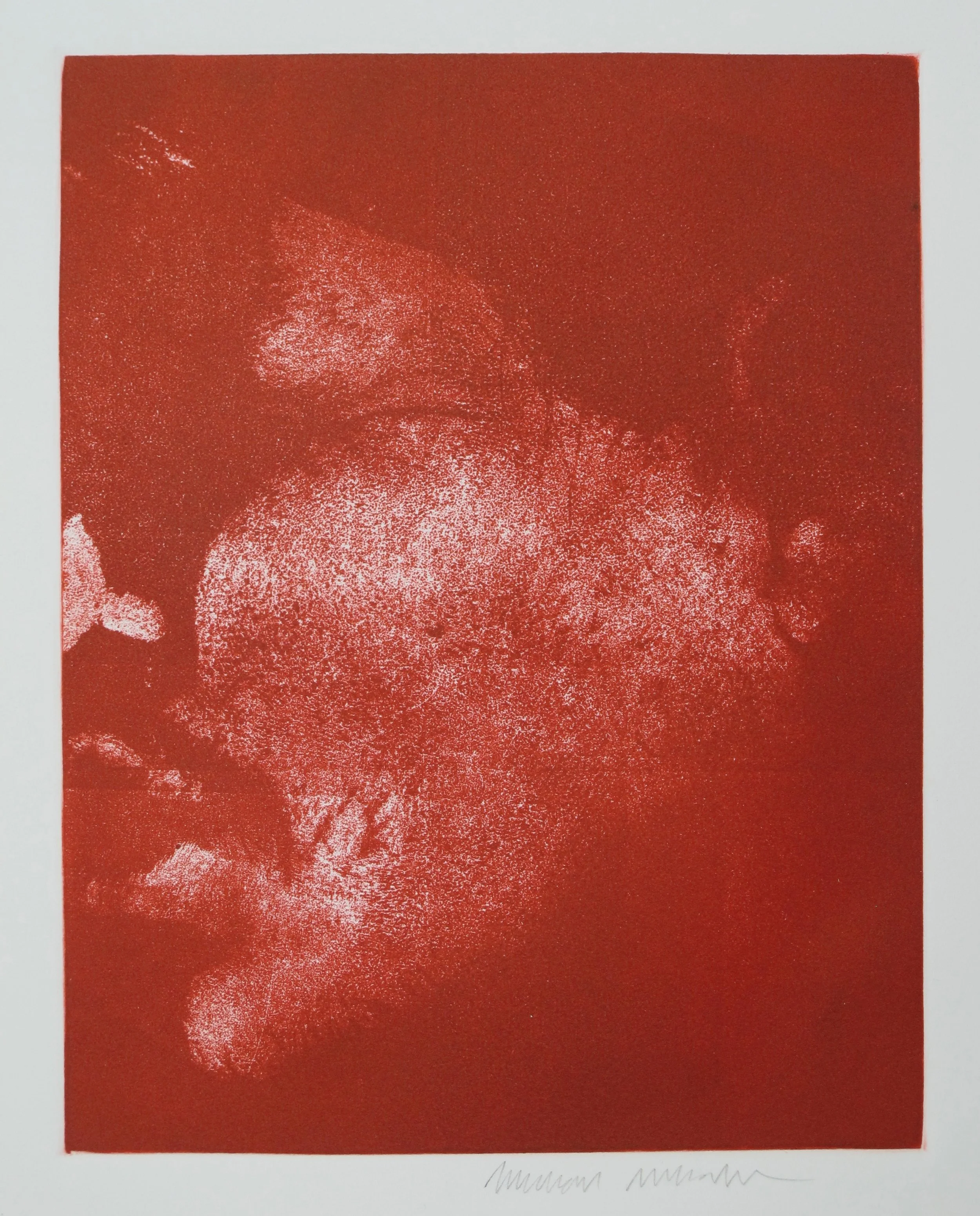   Untitled , 2007 Monotype Paper Size: 17 x 15 inches 