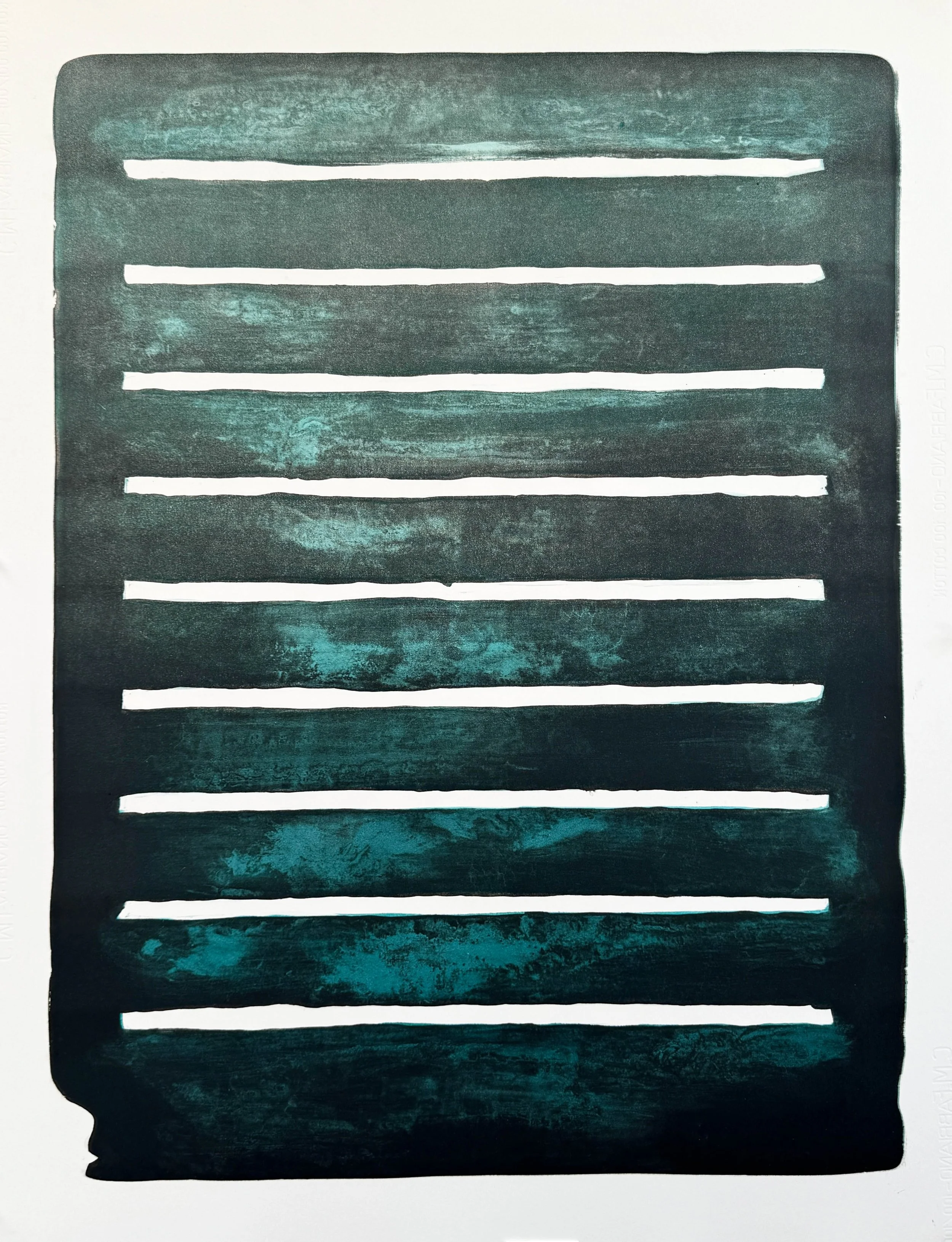 Cenote III , 2021-25 Lithograph with Monotype Image and Paper Size: 35 x 26.5 inches Series of 16 Unique