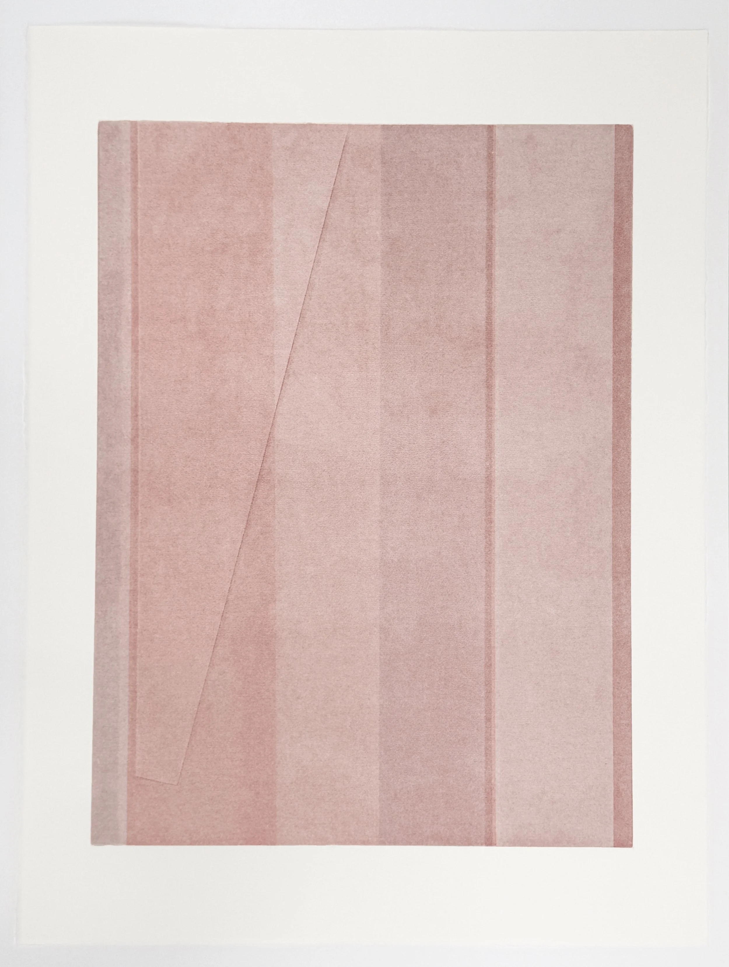   Surface Tones 2 , 2025 Monotype Image Size: 24 x 18 inches Paper Size: 30 x 22 inches Split: 10 Grand Press (10) 
