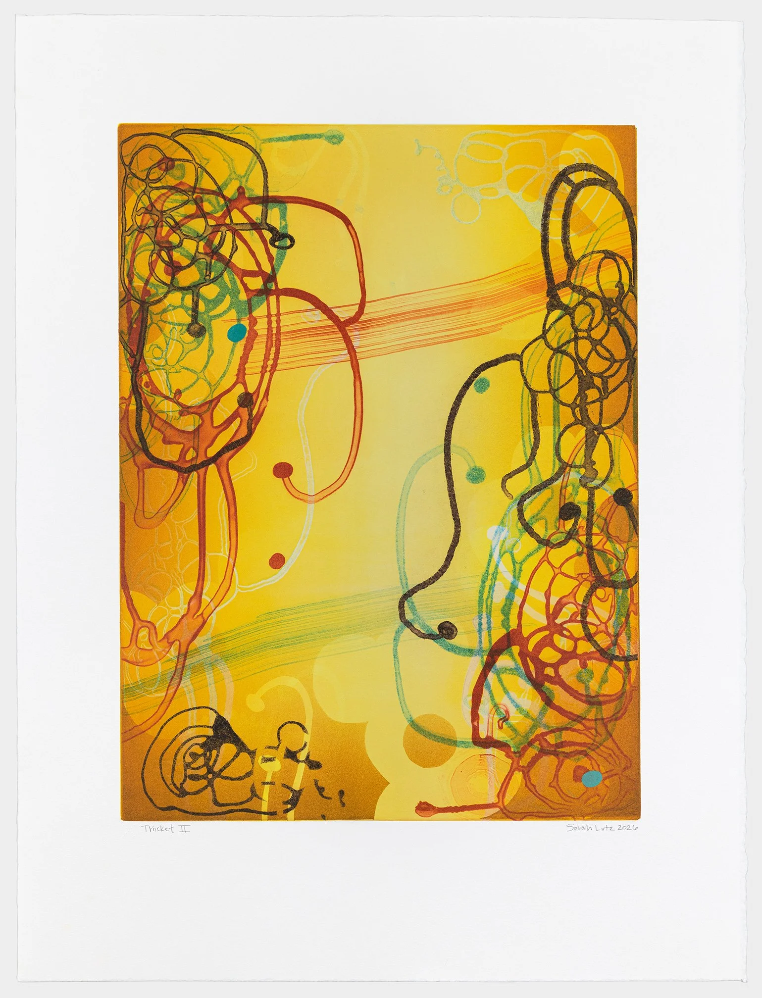   Thicket III , 2026 Monotype with Intaglio &amp; Pochoir Image size: 20 x 15 inches Paper size: 27 1/2 x 21 inches Series of 17 Unique 