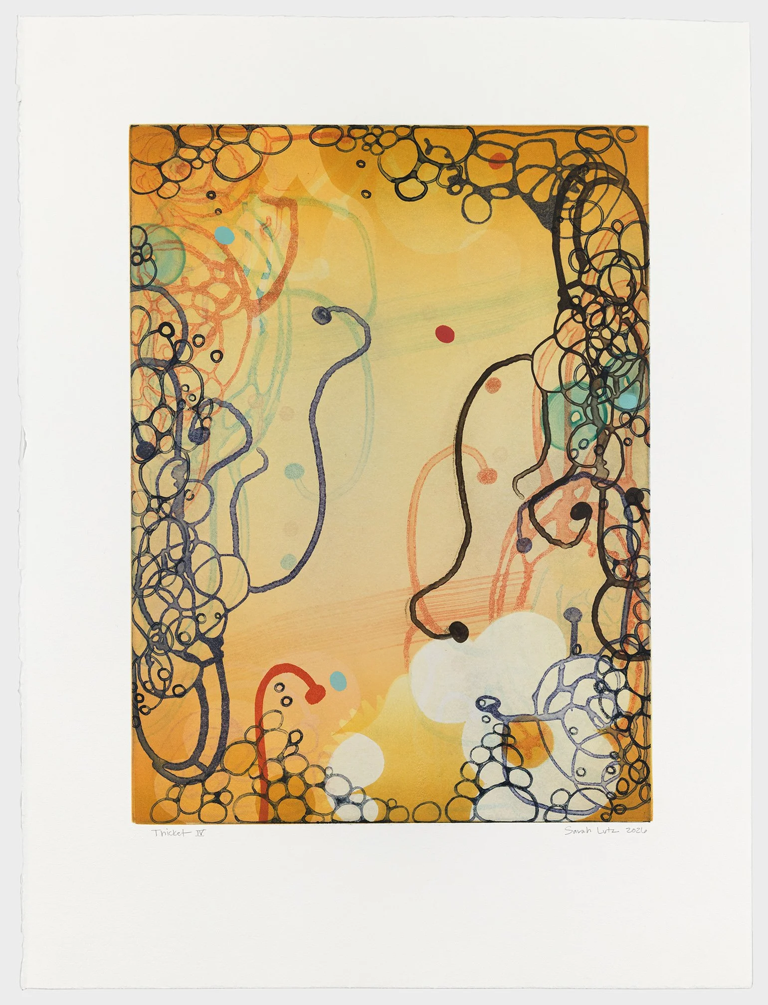   Thicket IV , 2026 Monotype with Intaglio &amp; Pochoir Image size: 20 x 15 inches Paper size: 27 1/2 x 21 inches Series of 17 Unique 