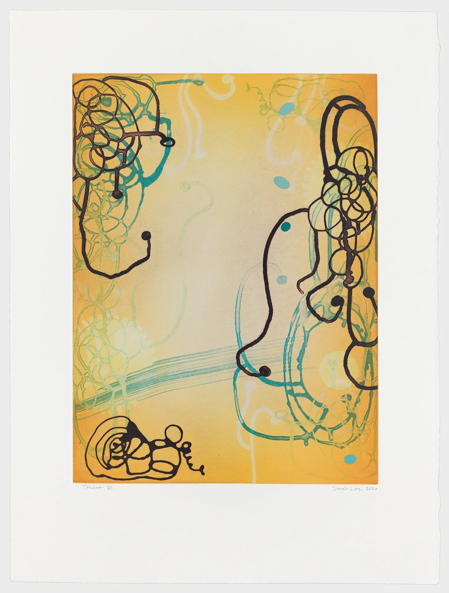   Thicket VI , 2026 Monotype with Intaglio &amp; Pochoir Image size: 20 x 15 inches Paper size: 27 1/2 x 21 inches Series of 17 Unique 