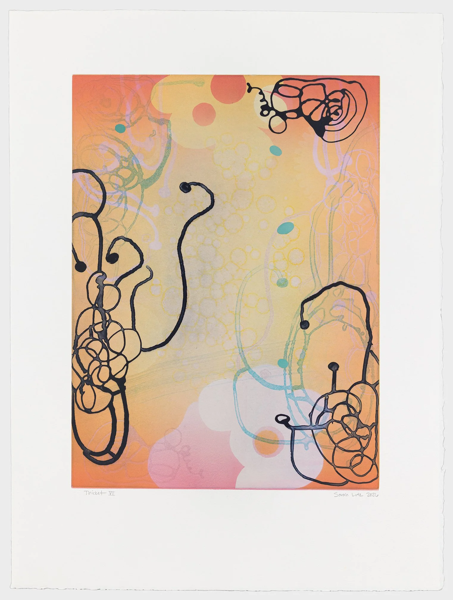   Thicket VII , 2026 Monotype with Intaglio &amp; Pochoir Image size: 20 x 15 inches Paper size: 27 1/2 x 21 inches Series of 17 Unique 