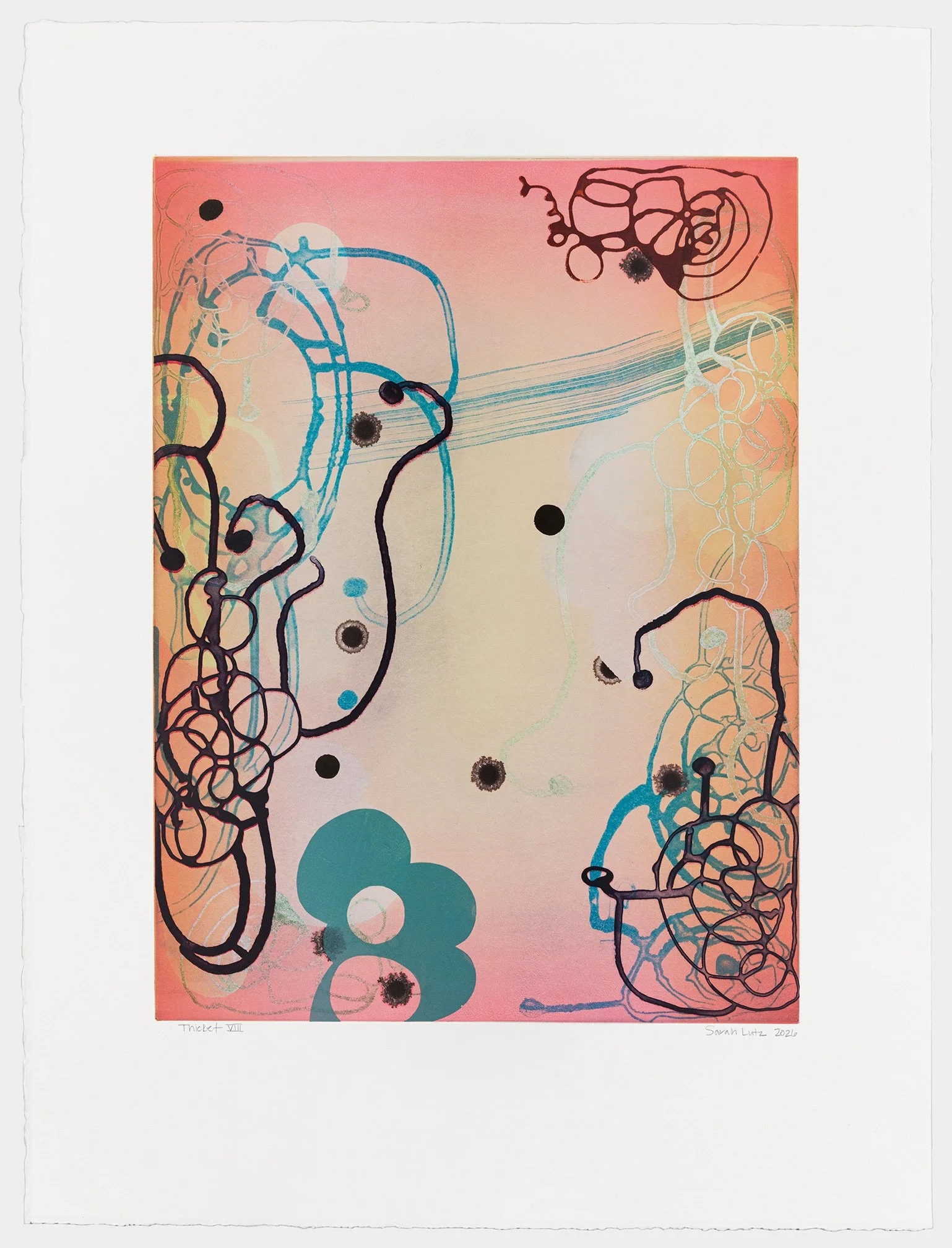   Thicket VIII , 2026 Monotype with Intaglio &amp; Pochoir Image size: 20 x 15 inches Paper size: 27 1/2 x 21 inches Series of 17 Unique 