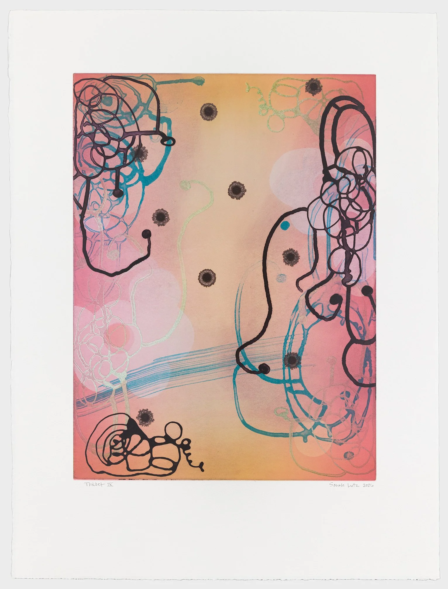   Thicket IX , 2026 Monotype with Intaglio &amp; Pochoir Image size: 20 x 15 inches Paper size: 27 1/2 x 21 inches Series of 17 Unique 