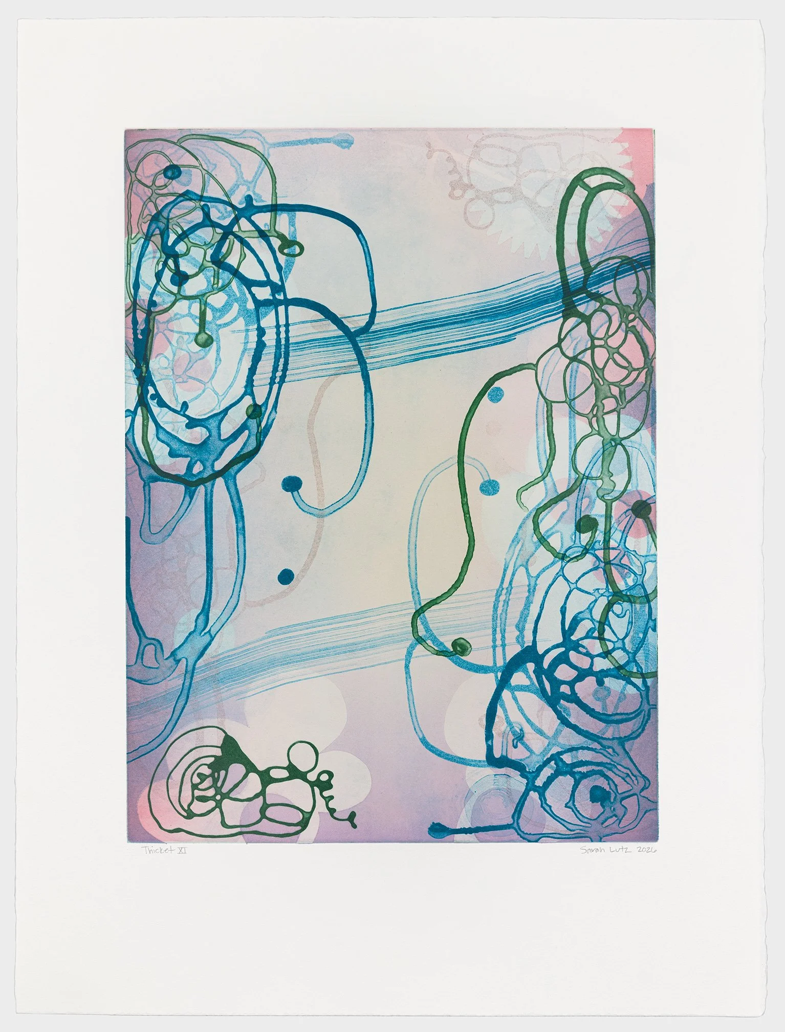   Thicket XI , 2026 Monotype with Intaglio &amp; Pochoir Image size: 20 x 15 inches Paper size: 27 1/2 x 21 inches Series of 17 Unique 