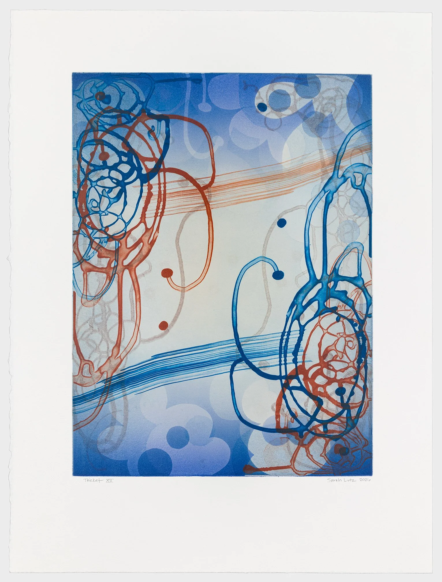   Thicket XII , 2026 Monotype with Intaglio &amp; Pochoir Image size: 20 x 15 inches Paper size: 27 1/2 x 21 inches Series of 17 Unique 