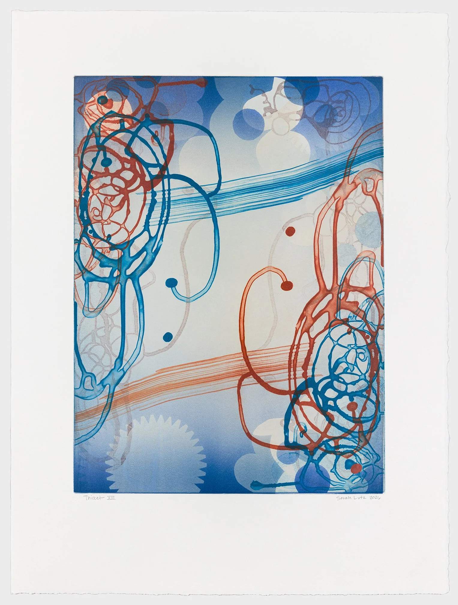   Thicket XIII , 2026 Monotype with Intaglio &amp; Pochoir Image size: 20 x 15 inches Paper size: 27 1/2 x 21 inches Series of 17 Unique 