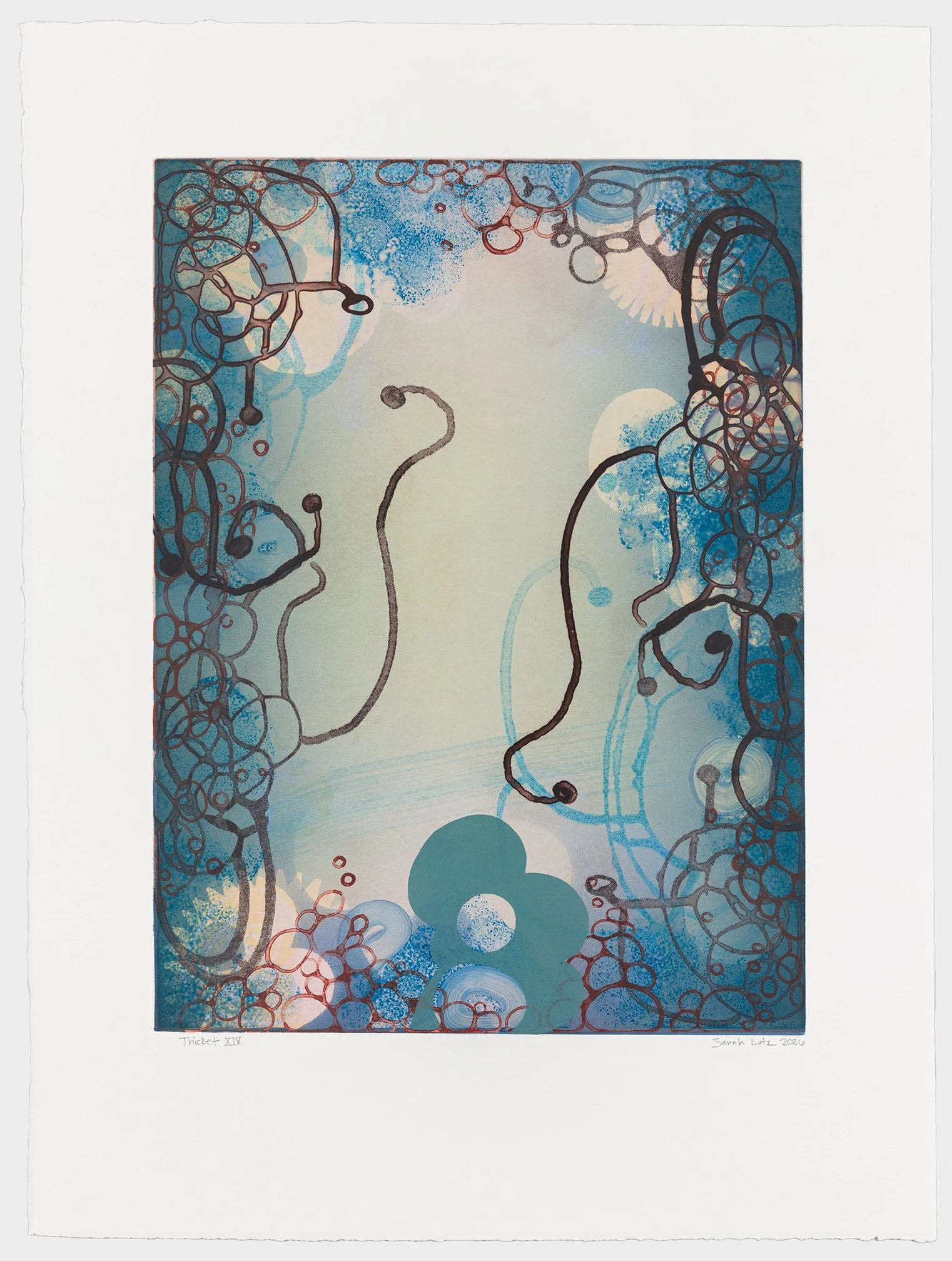   Thicket XIV , 2026 Monotype with Intaglio &amp; Pochoir Image size: 20 x 15 inches Paper size: 27 1/2 x 21 inches Series of 17 Unique 