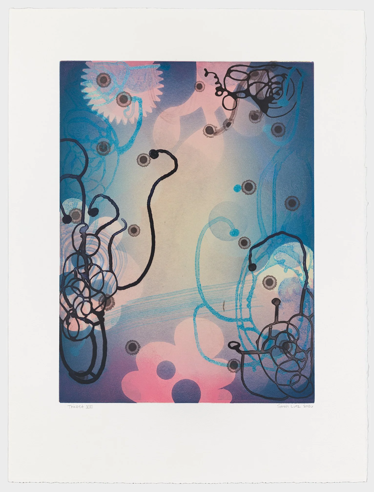   Thicket XVI , 2026 Monotype with Intaglio &amp; Pochoir Image size: 20 x 15 inches Paper size: 27 1/2 x 21 inches Series of 17 Unique 