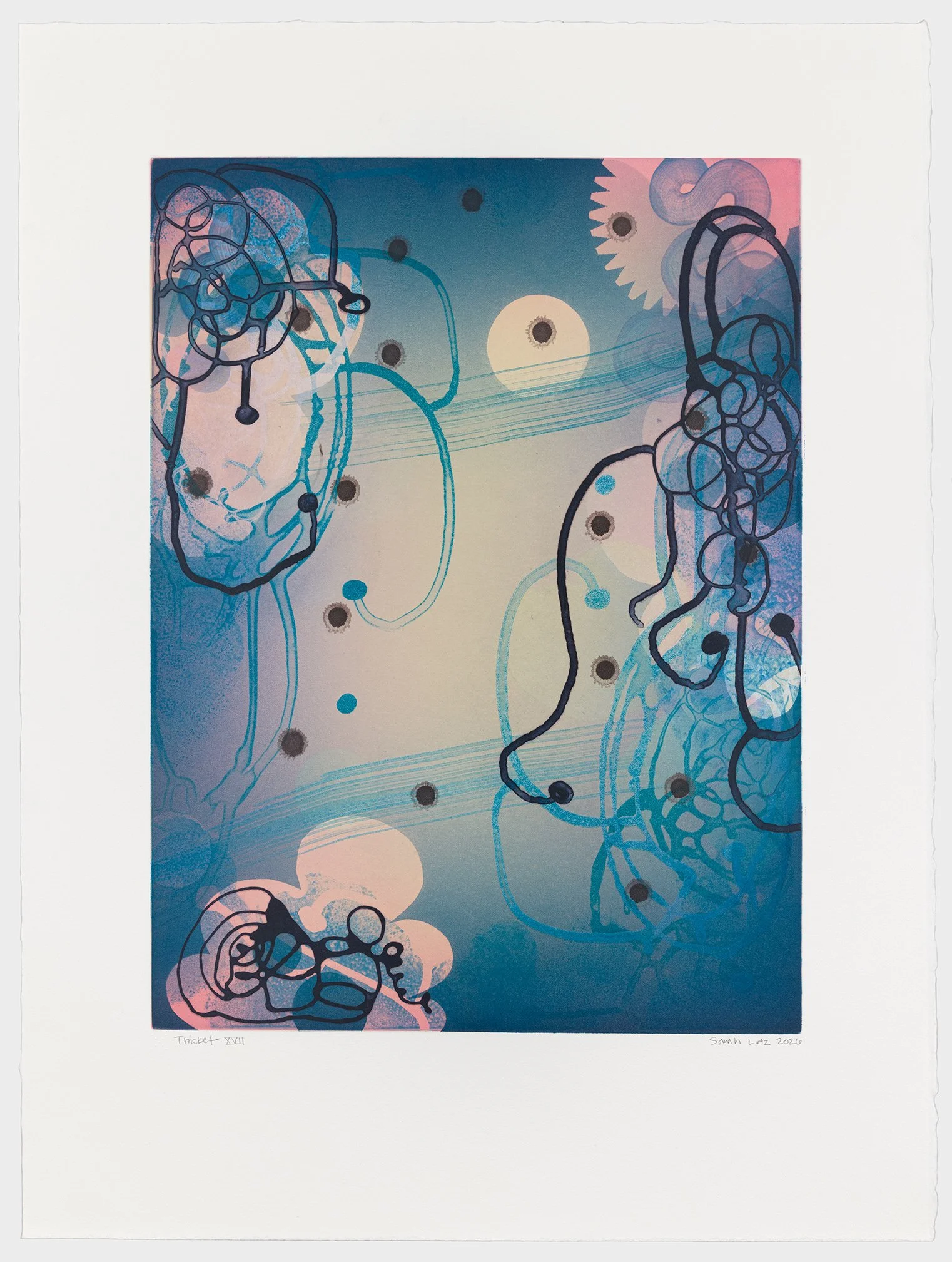   Thicket XVII , 2026 Monotype with Intaglio &amp; Pochoir Image size: 20 x 15 inches Paper size: 27 1/2 x 21 inches Series of 17 Unique 