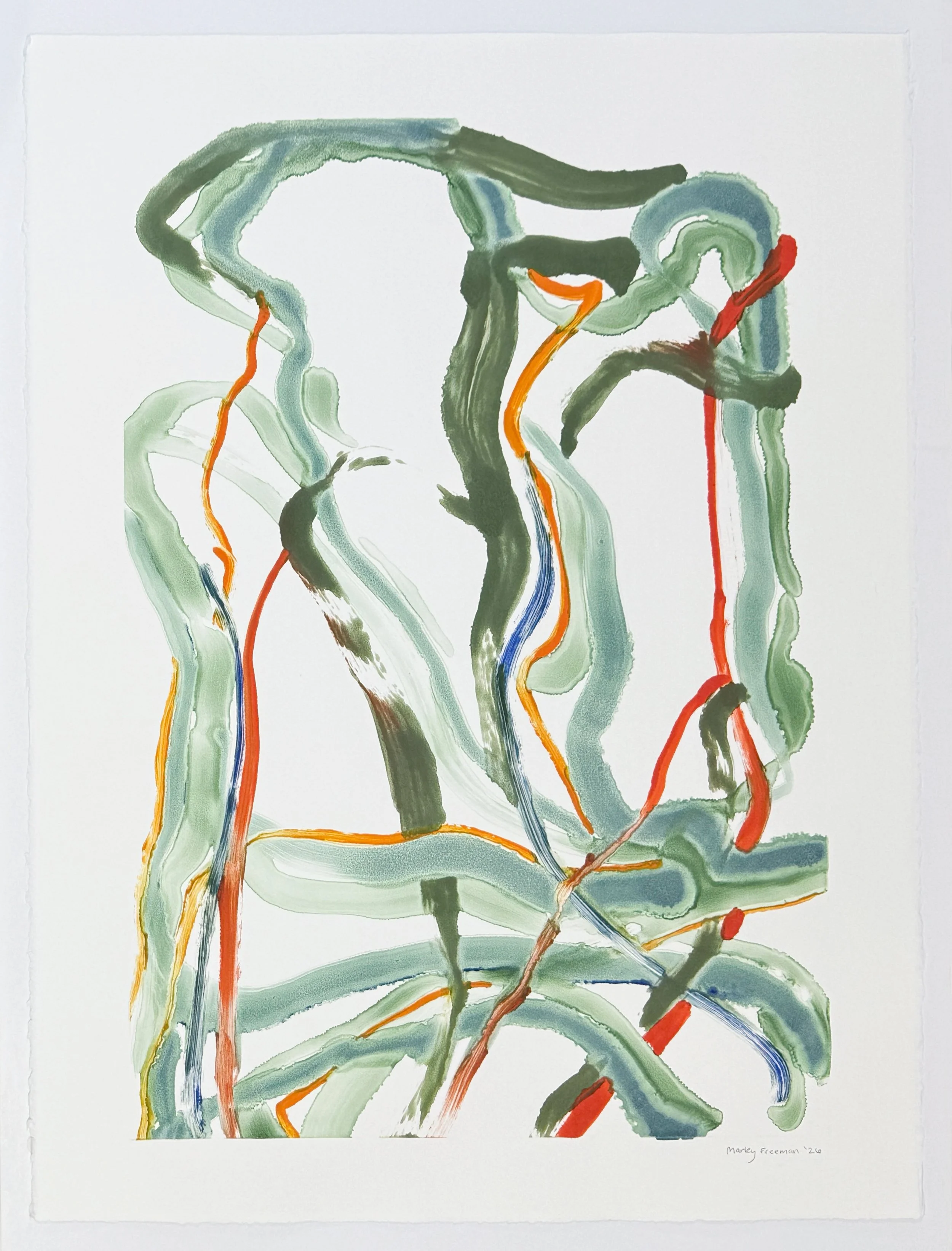   arrived whistling like a hurricane , 2026 Monotype Image size: 25 3/4 x 17 3/4 inches Paper size: 30 x 22 1/2 inches Unique 