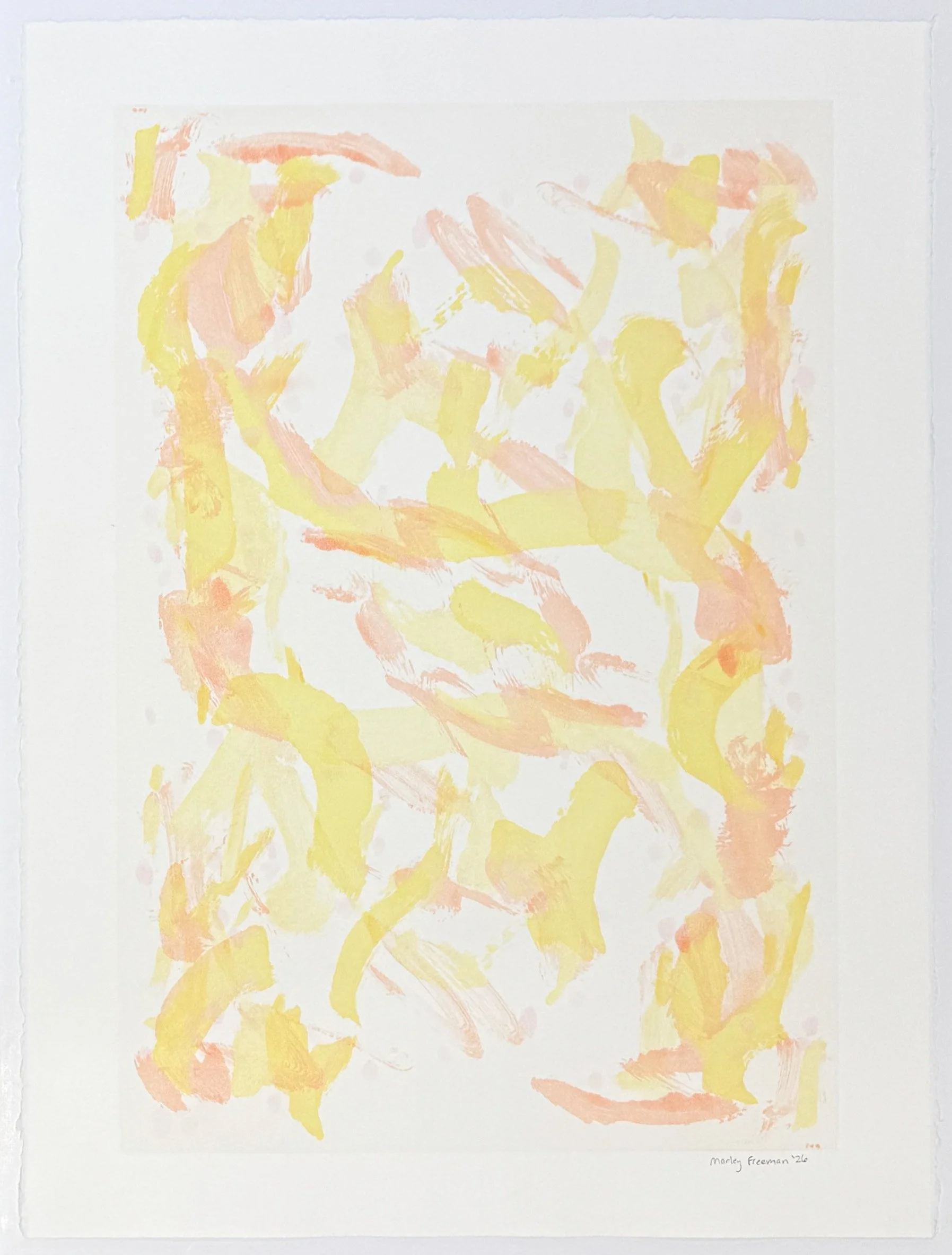   I gave everything to the sun , 2026 Monotype Image size: 25 3/4 x 17 3/4 inches Paper size: 30 x 22 1/2 inches Unique 