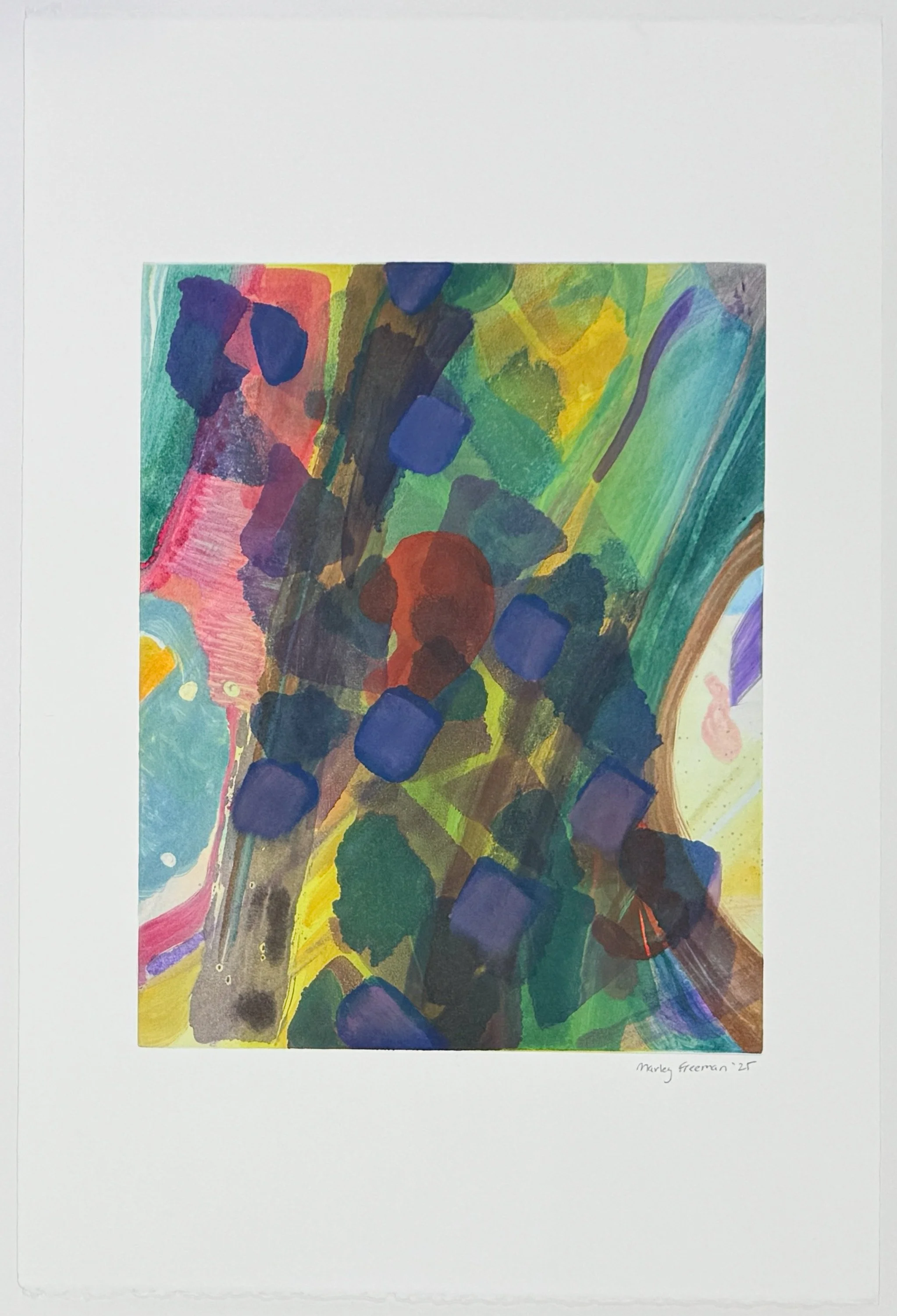   naive materialistic optimism , 2026 Monotype Image size: 13 3/4 x 11 inches Paper size: 22 1/2 x 15 inches Unique 