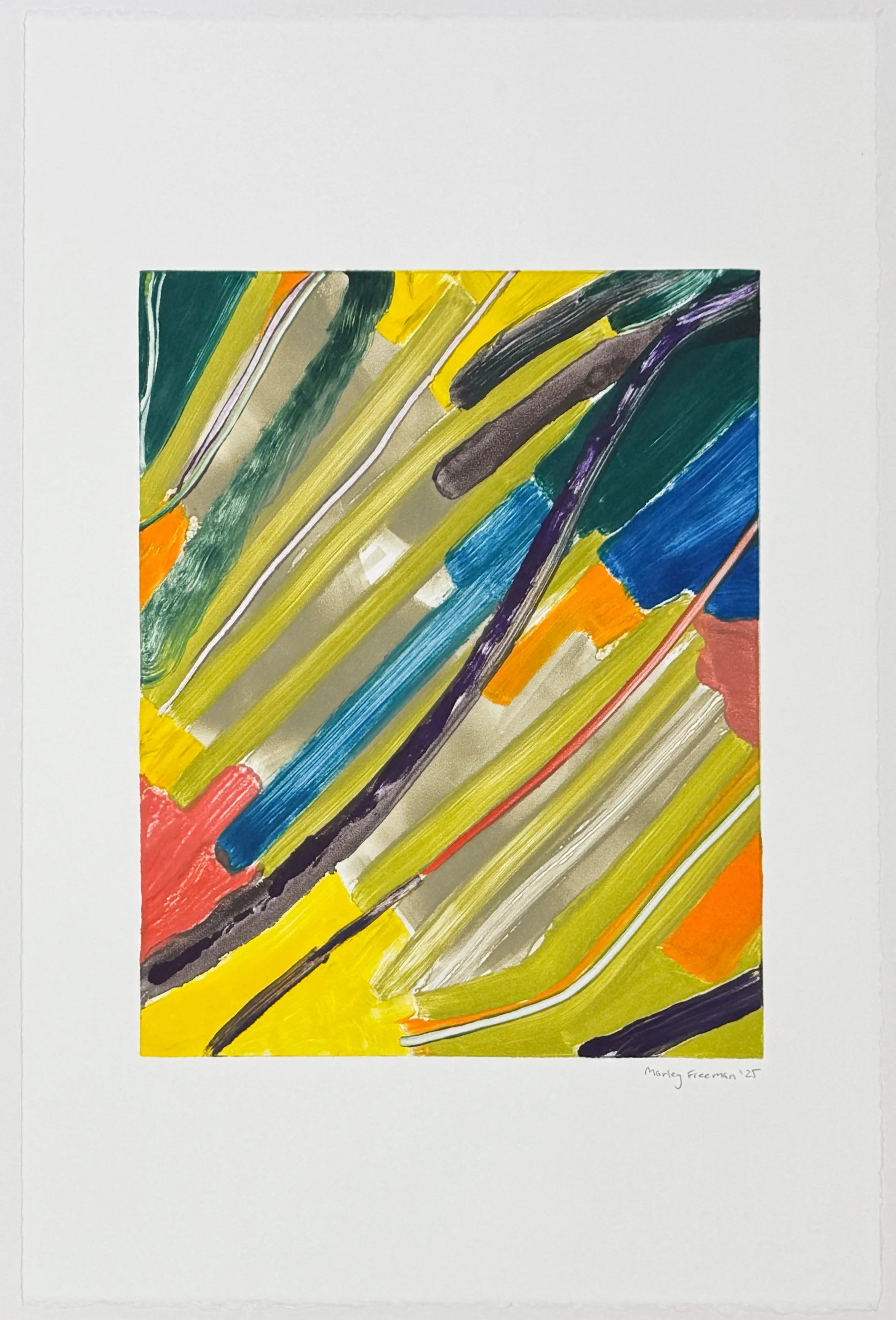   more than any other soul could hide , 2026 Monotype Image size: 13 3/4 x 11 inches Paper size: 22 1/2 x 15 inches Unique 