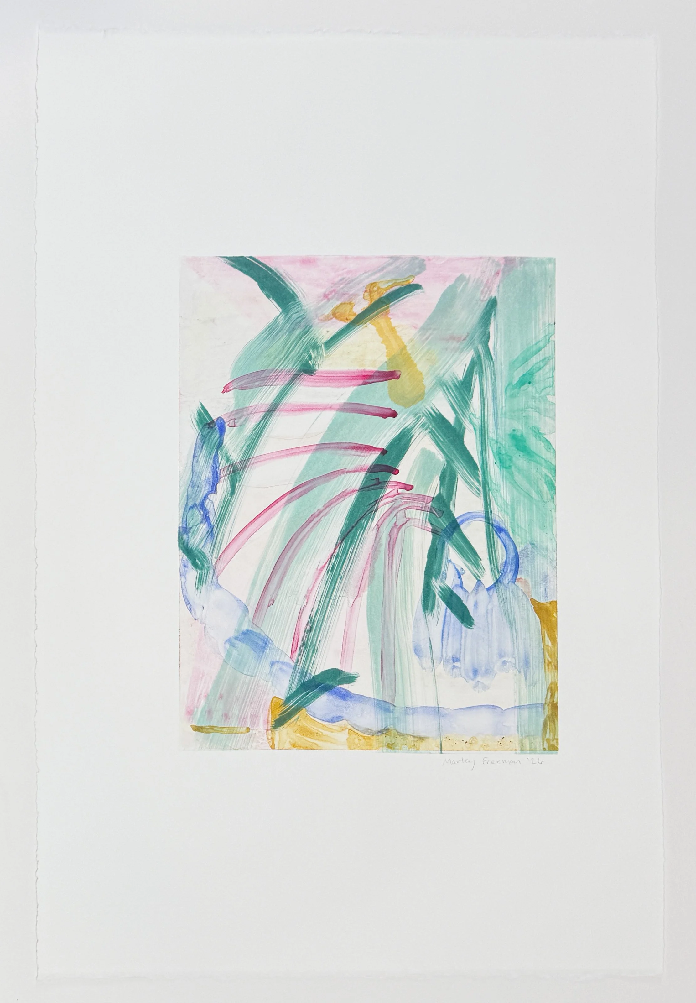   Untitled XXVII , 2026 Watercolor monotype Image size: 11 1/2 x 9 inches Paper size: 22 1/2 x 15 inches Unique 