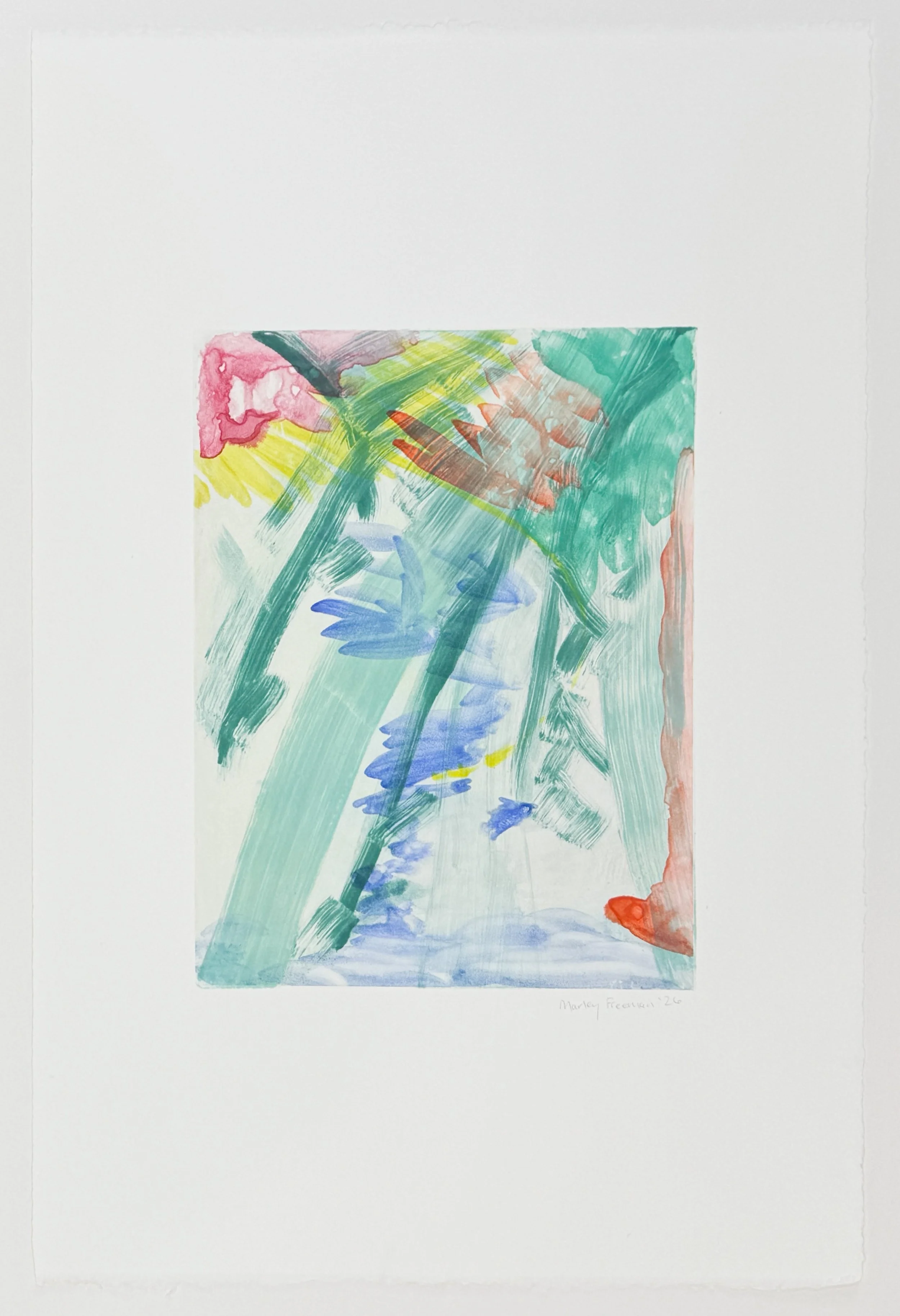   Untitled XXVIII , 2026 Watercolor monotype Image size: 11 1/2 x 9 inches Paper size: 22 1/2 x 15 inches Unique 