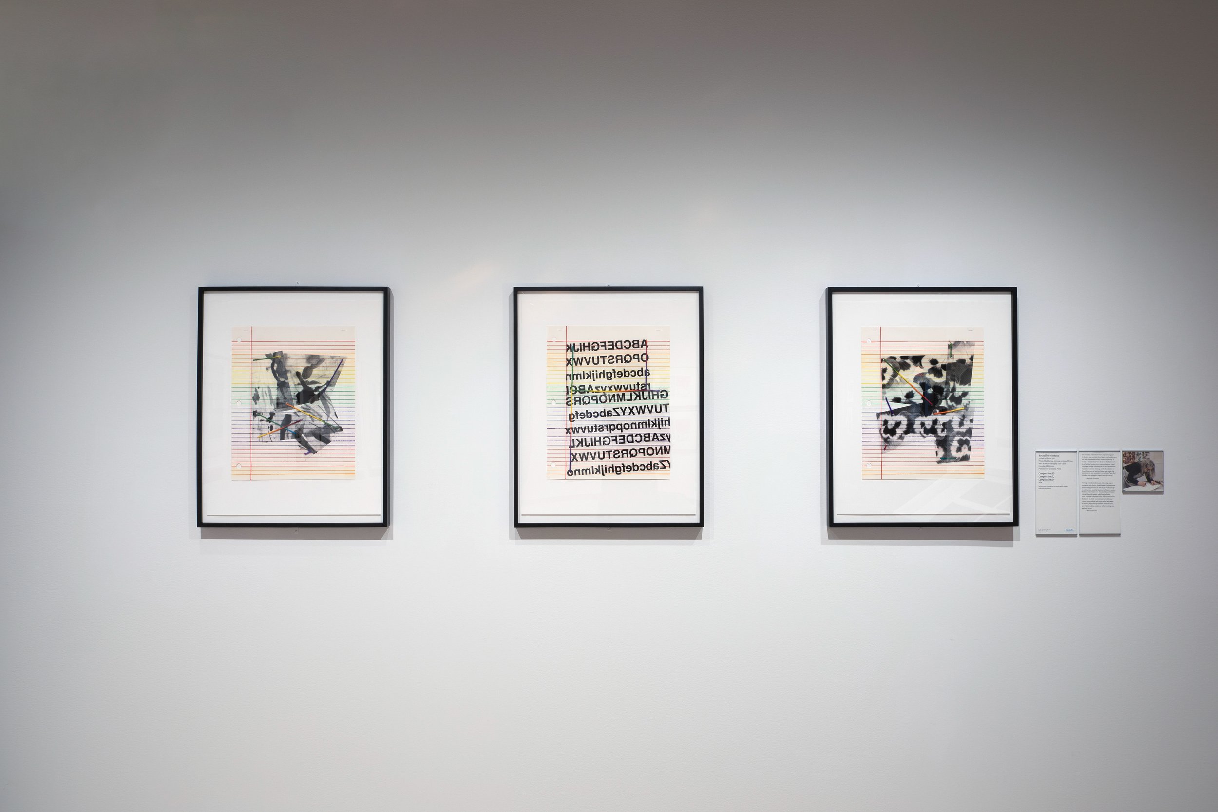 Rochelle Feinstein: Print Catalyst @ 30