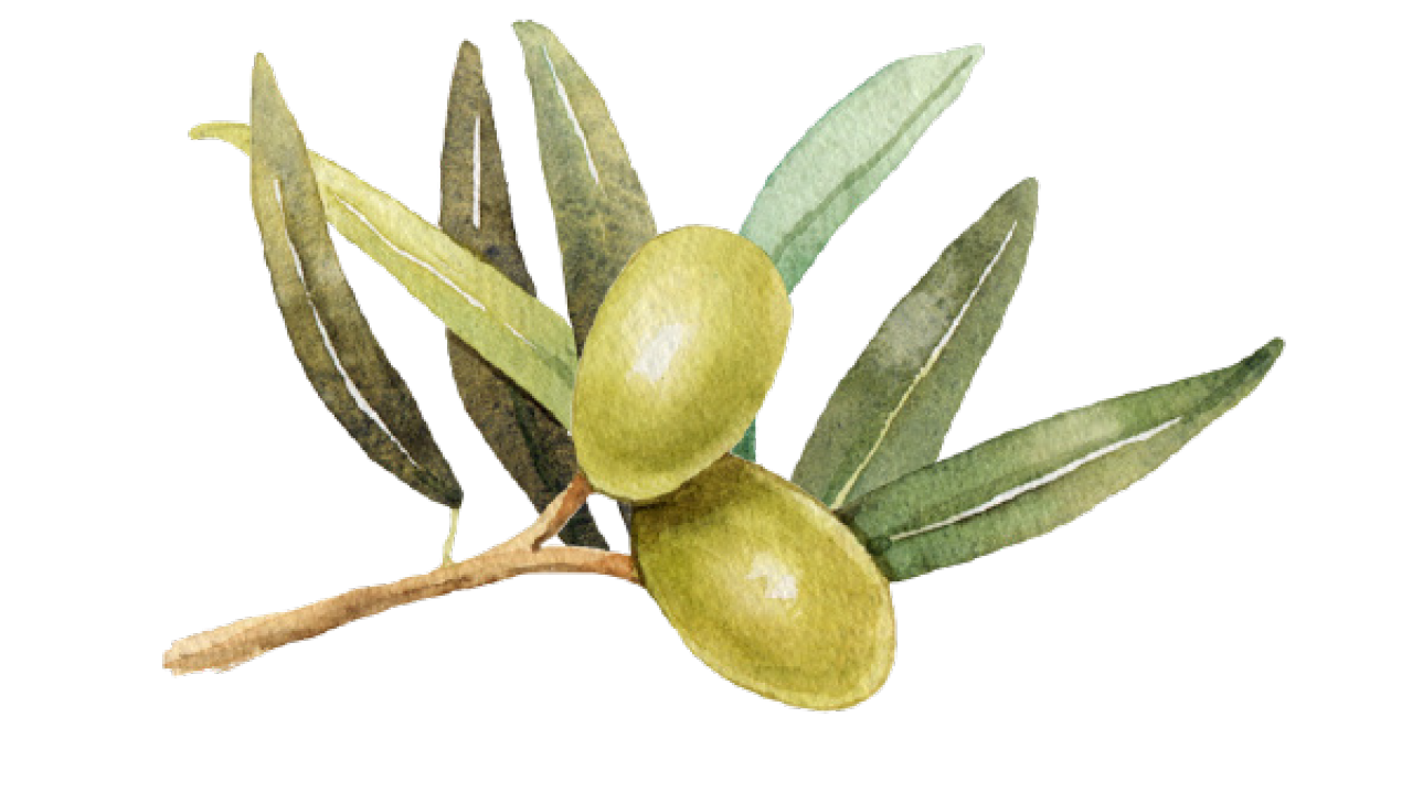 OOJ_olivebouquet.png