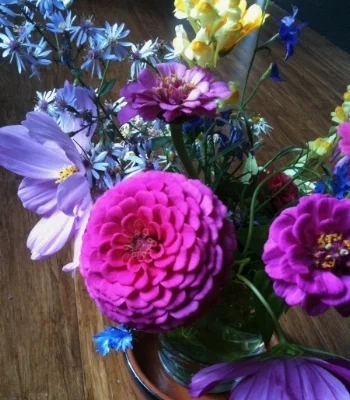 Pretty.