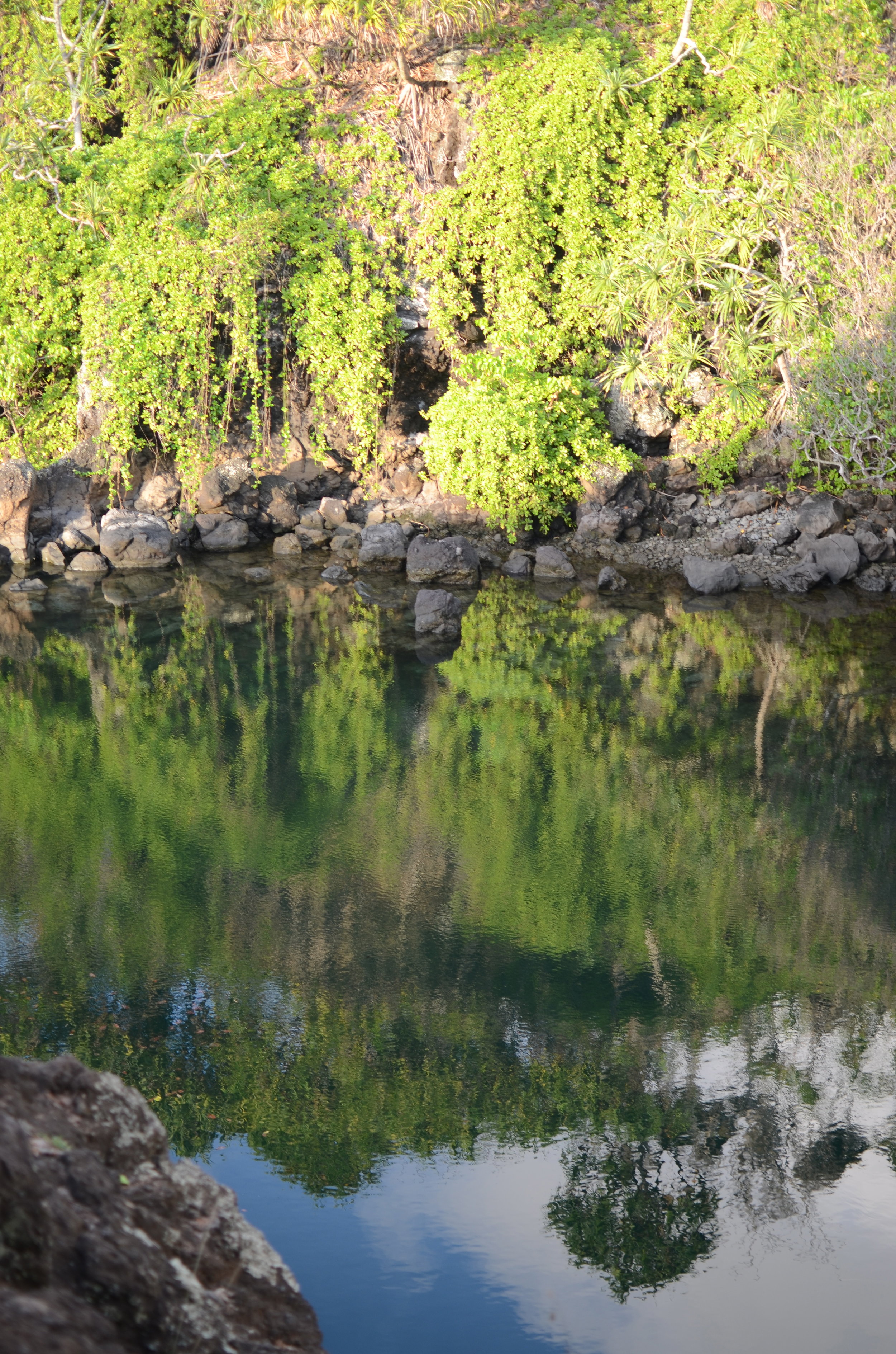DSC_0330.jpg