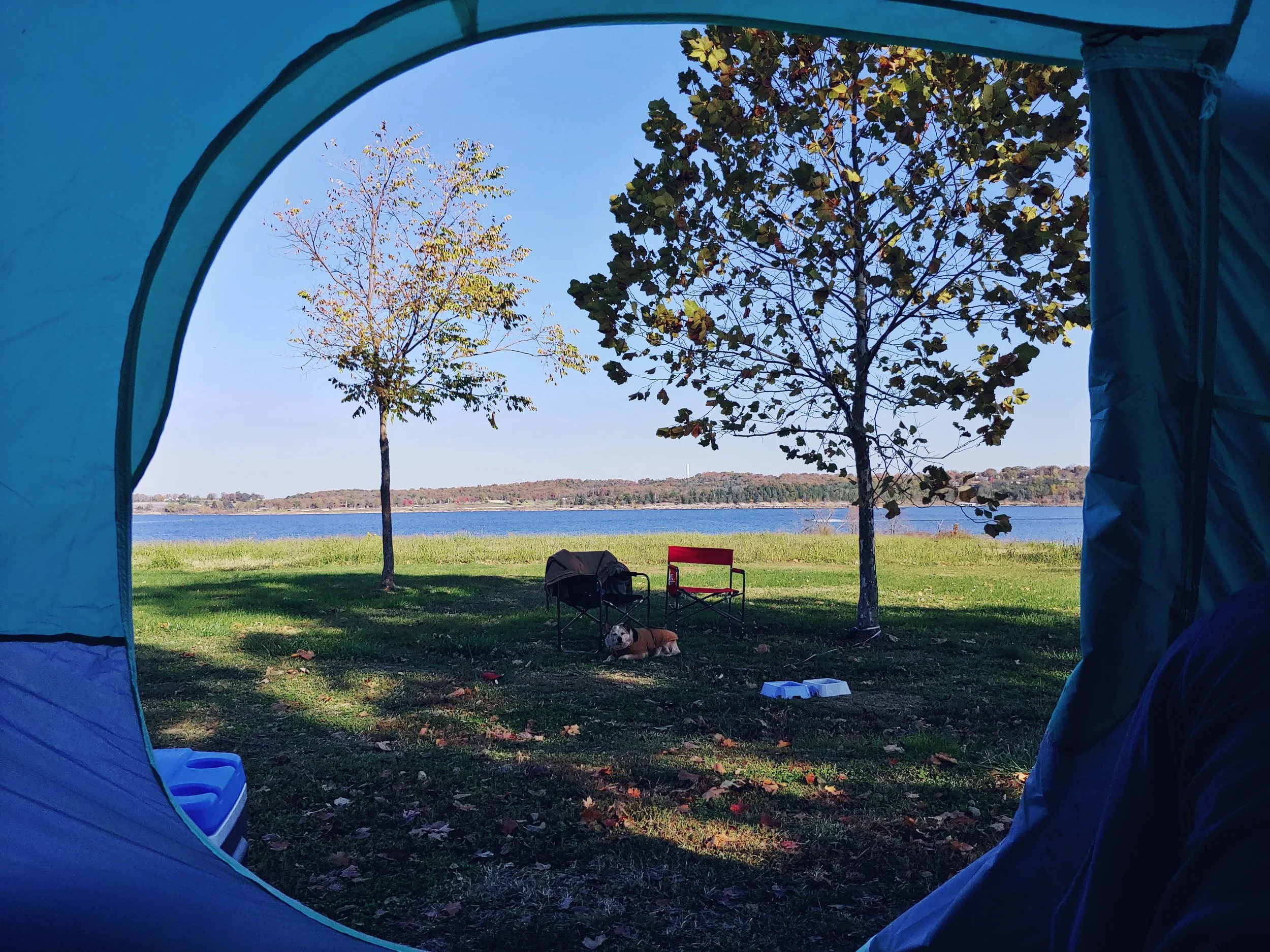 View through tent doorway of two trees and a lake.