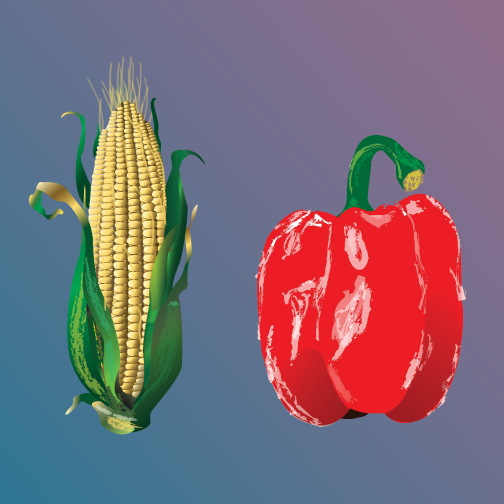 food-illustations.jpg