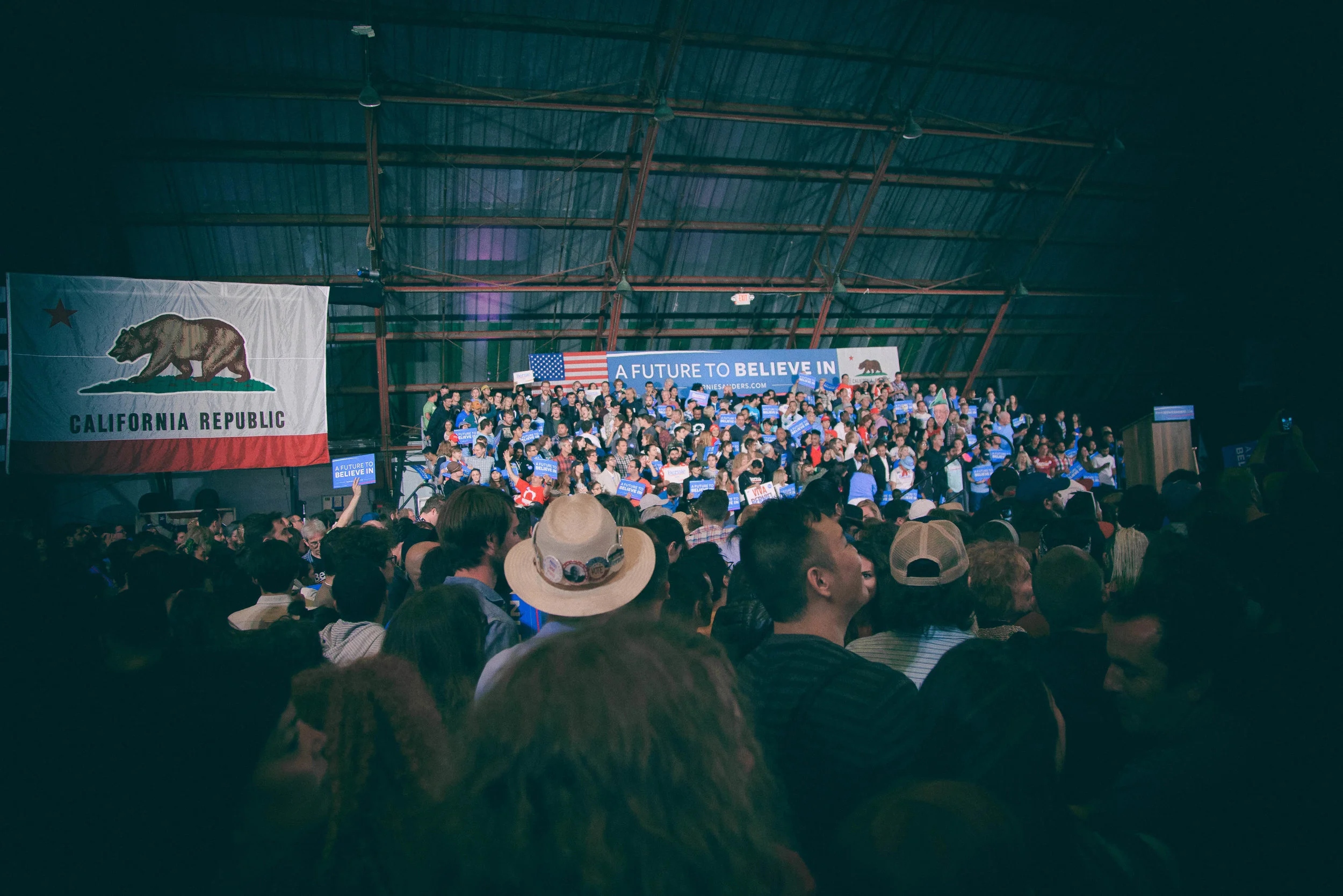 Bernie Low Res-7.jpg