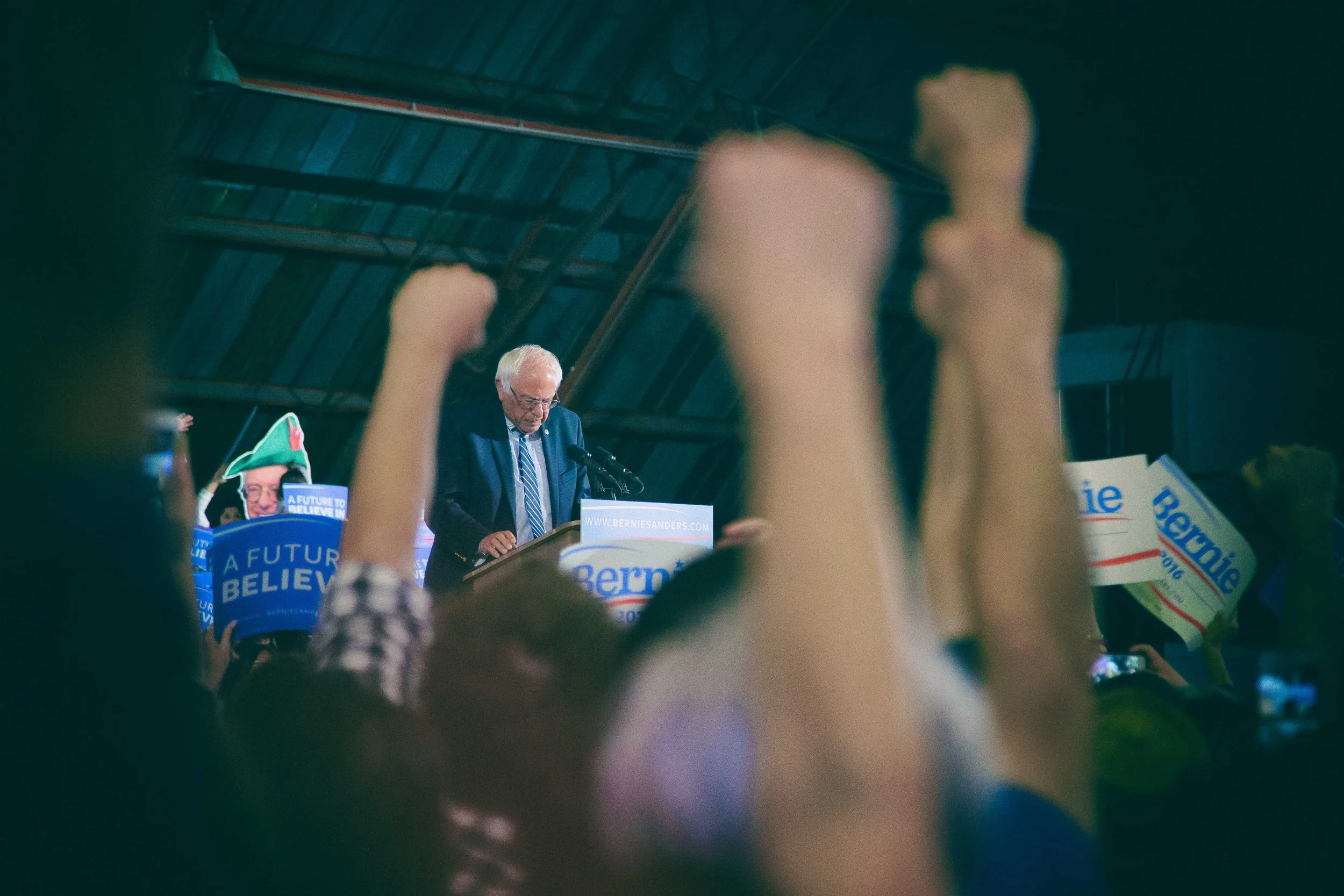 Bernie Low Res-5.jpg
