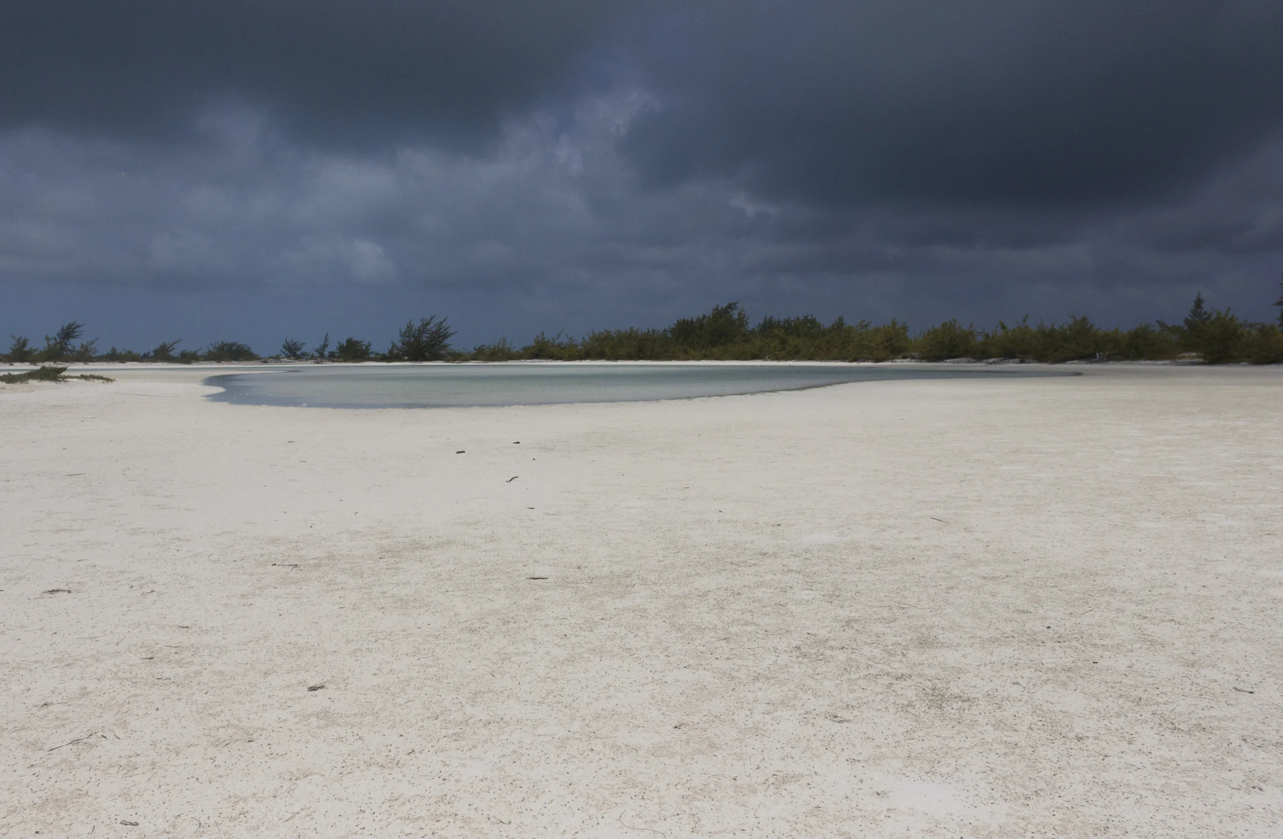 Iguana Island, Turks &amp; Caicos