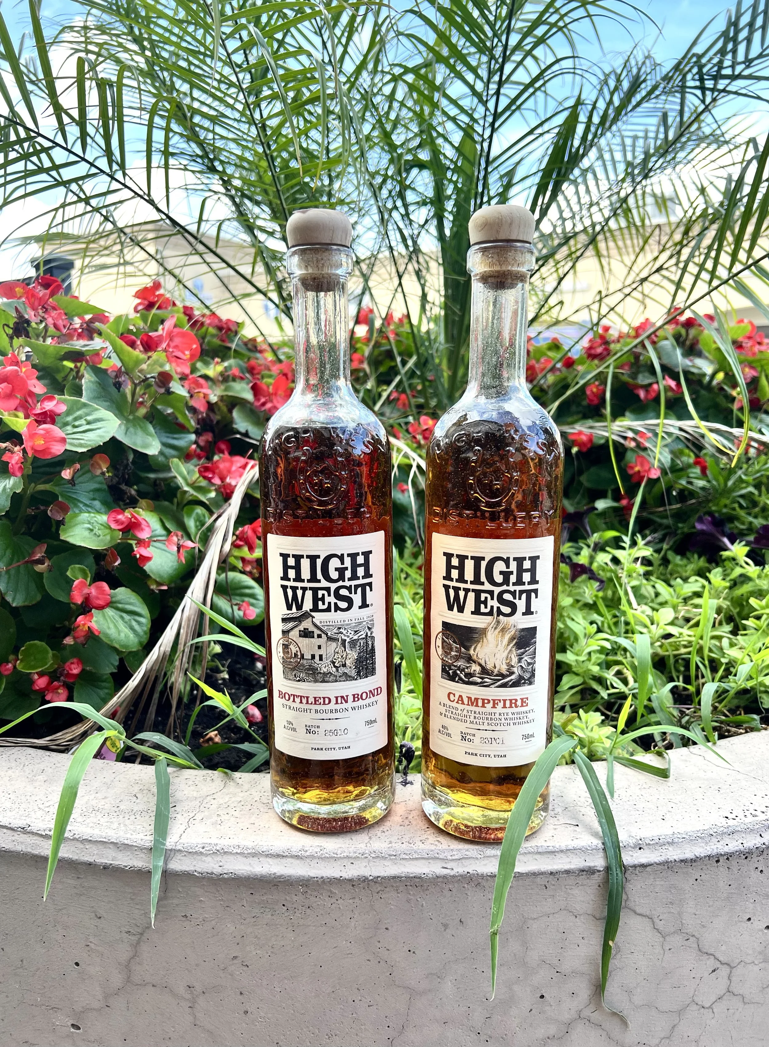 Live Music from SOUNDS FISHY and LADIES NIGHT