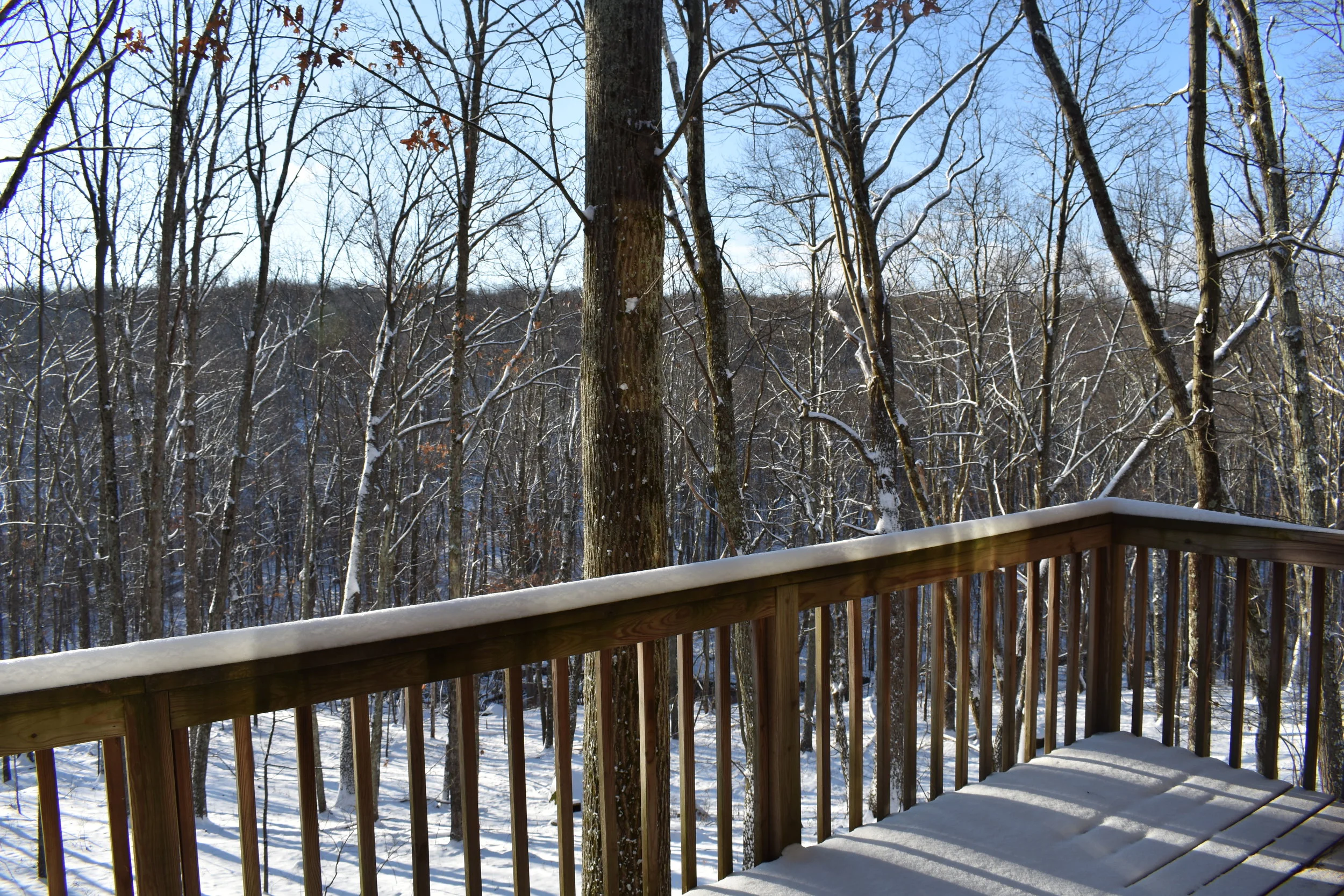 Progress at the Pocono cabin 