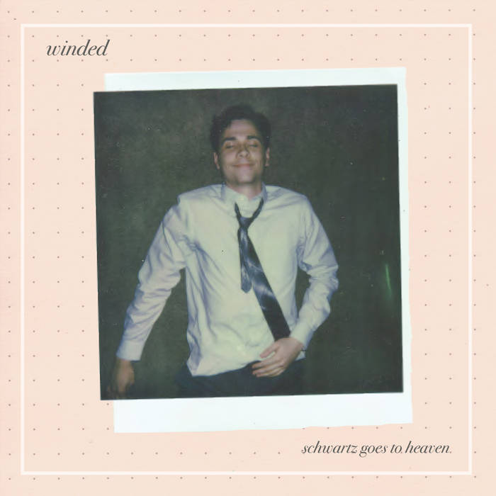 SCHWARTZ GOES TO HEAVEN - LP